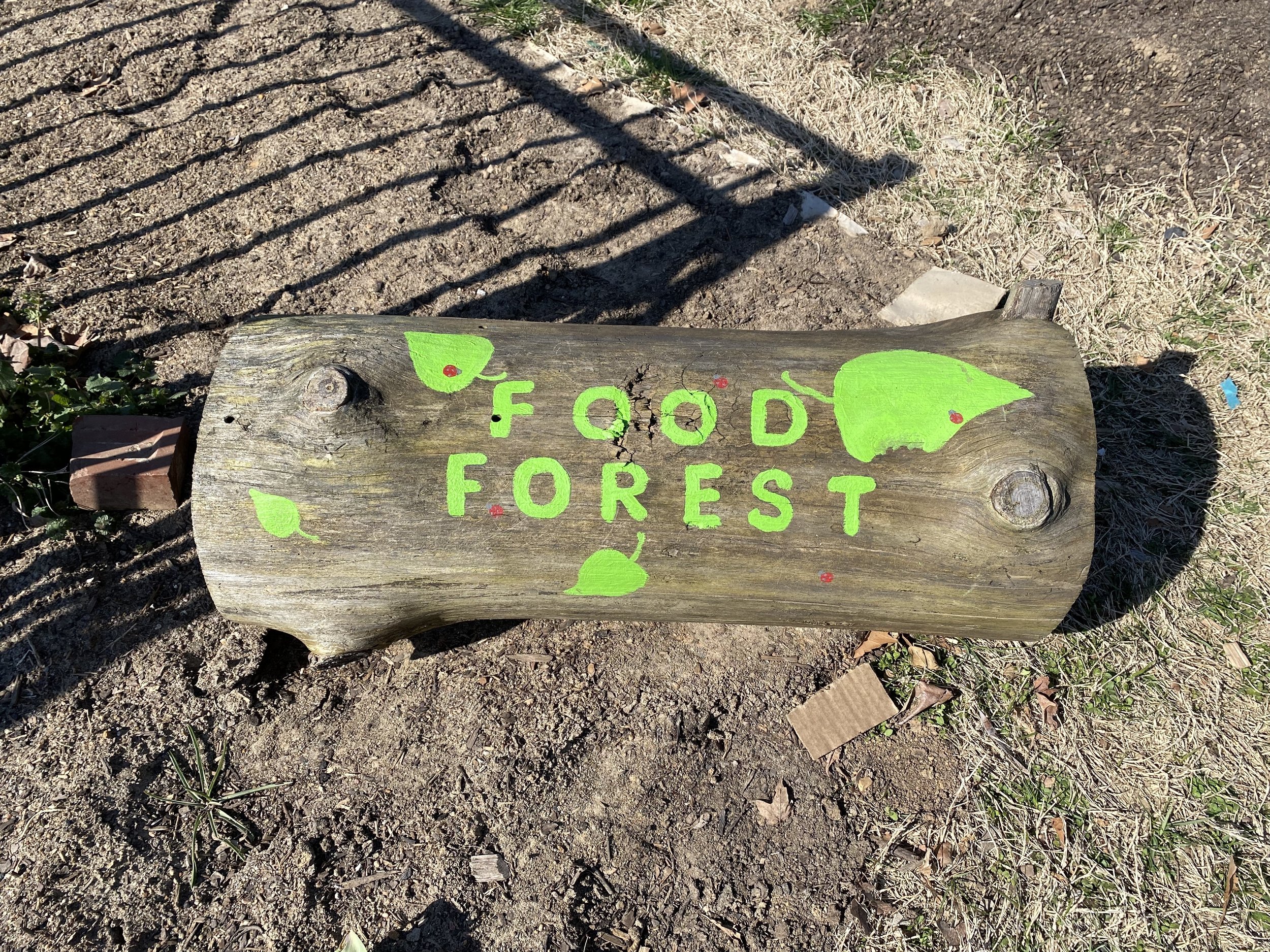 Food Forest.jpg