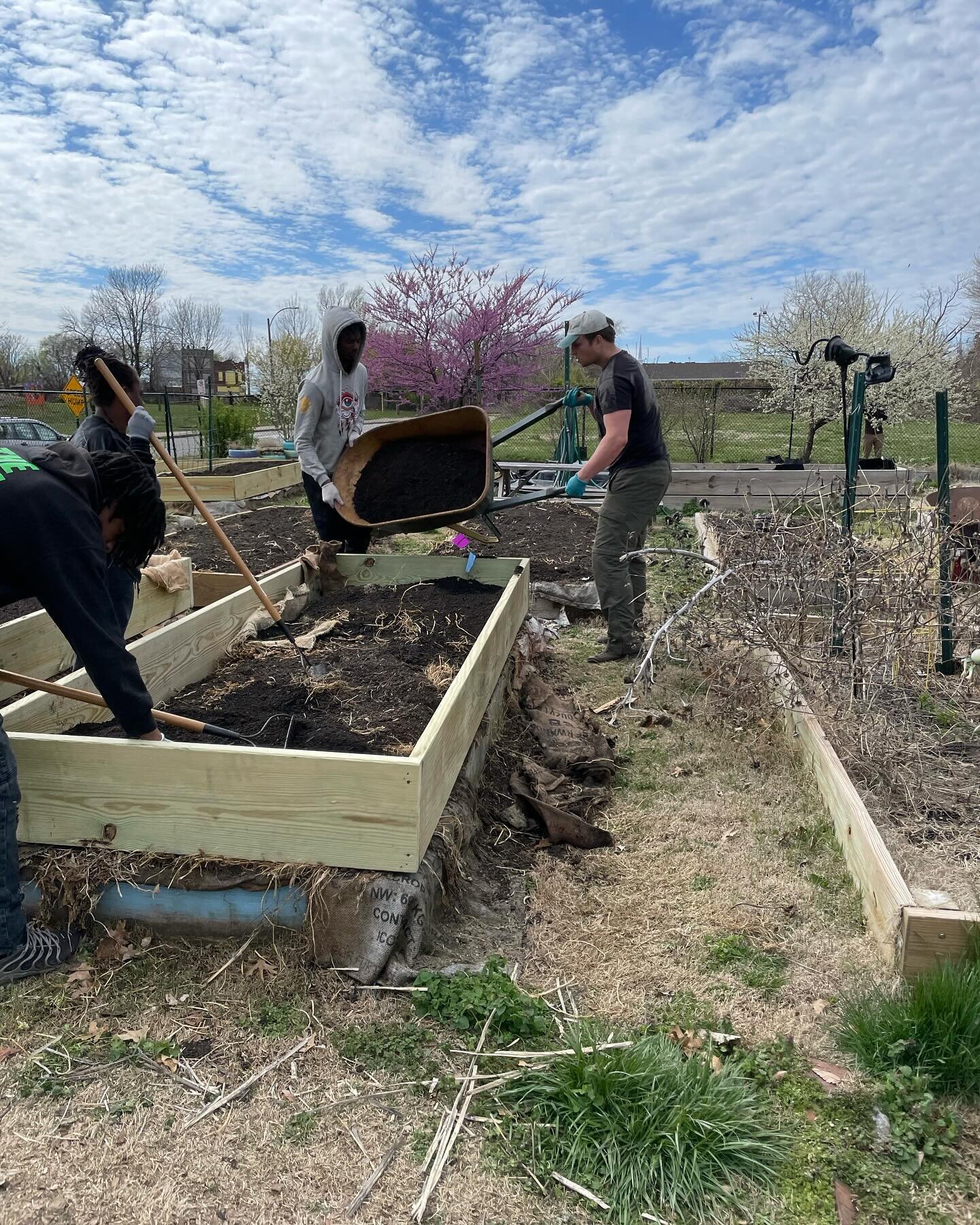 We had an incredible staff work day today at Fresh Starts! In about 3 hours with the help of our amazing volunteers we able to:

1) built 2 sets of shelves 
2) built 7 -SEVEN second layer of raised beds
3) FILLED most of those beds with soil
4) built