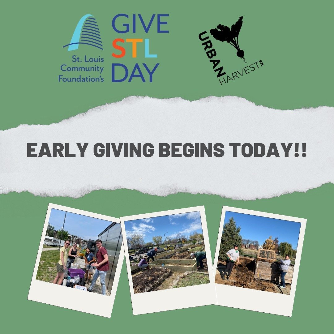 Give STL Day Early Giving has opened! Between now and 11:59 pm on May 9th please donate to support Urban Harvest STL and our work with Fresh Starts Community Garden. 

Click the link in our bio to donate!