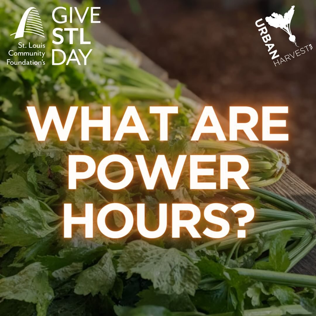 Thank you to the Berges Foundation, the @stlouisgives and its Board of Directors, @purina and Watlow for providing funds to during Give STL Day.  During the Power Hours your gift will have a bigger impact!