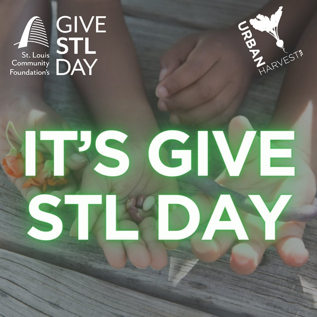 Happy #givestlday! Click the link in bio to give, give, give!