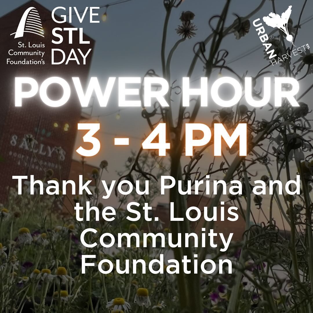 Its Power Hour! Your gift  is amplified by Purina and the St. Louis Community Foundation.  Next power hour is  6-7 pm.