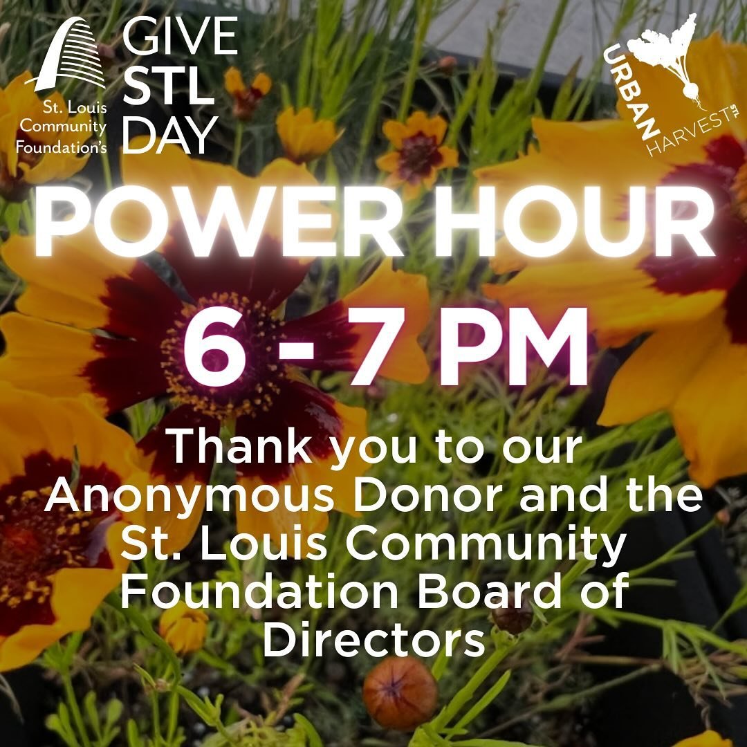 Its Power Hour!  Your impact is amplified by by an Anonymous Donor and the St. Louis Community Foundation Board of Directors.  Next power hour is  9-10 pm.