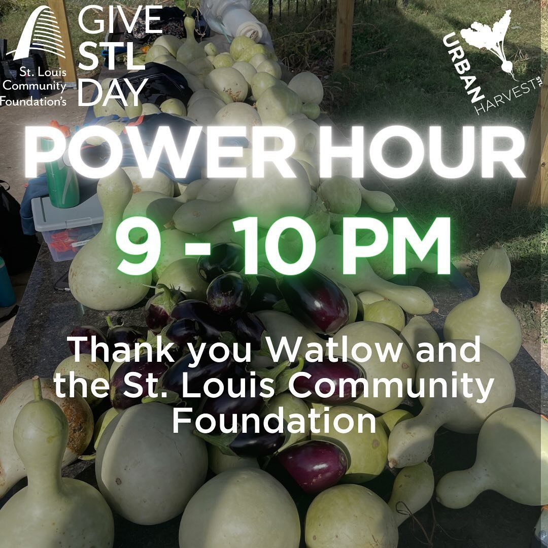 Its Power Hour! Your impact is amplified by Watlow and the St. Louis Community Foundation. There is still 3 hours to give, give, give!