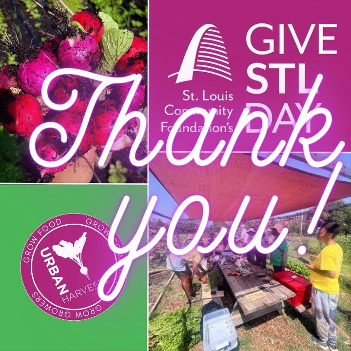 Thank you to everyone that gave during #GiveSTLDay. We are truly humbled by your generosity and support. We raised over $9300 to further our support at Fresh Starts Community Garden. We hope you will come out a volunteer with us at Fresh Starts and e