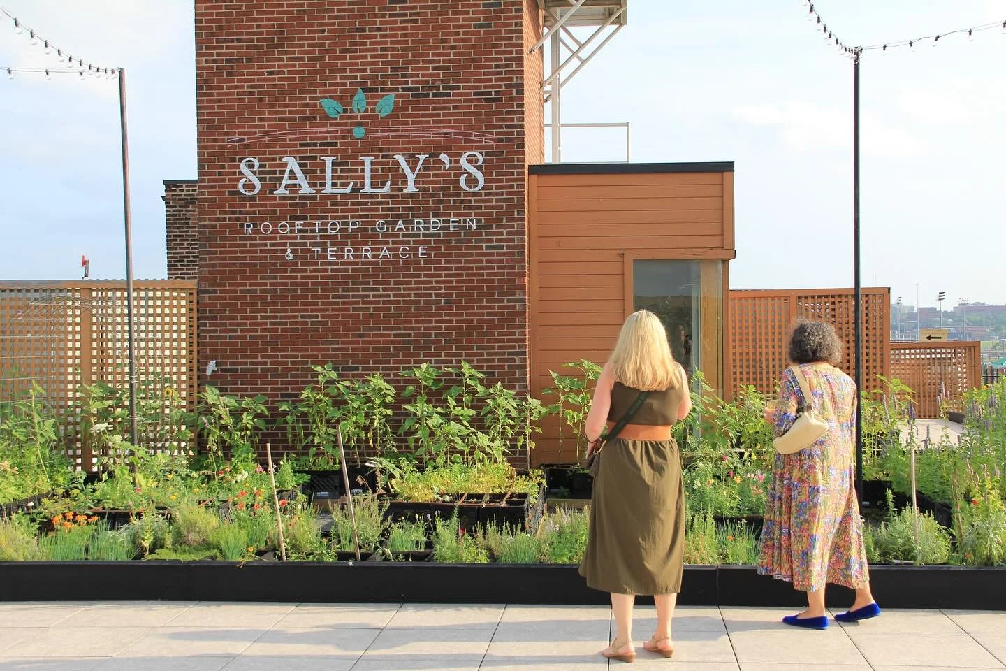 Our largest Harvest Dinner yet &mdash; and what a night it was! Huge thanks to our incredible volunteers, dedicated board members, and the amazing Chef David Kirkland for making it all possible. Your support continues to nourish our farms and our mis
