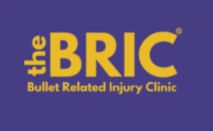 bric logo.PNG