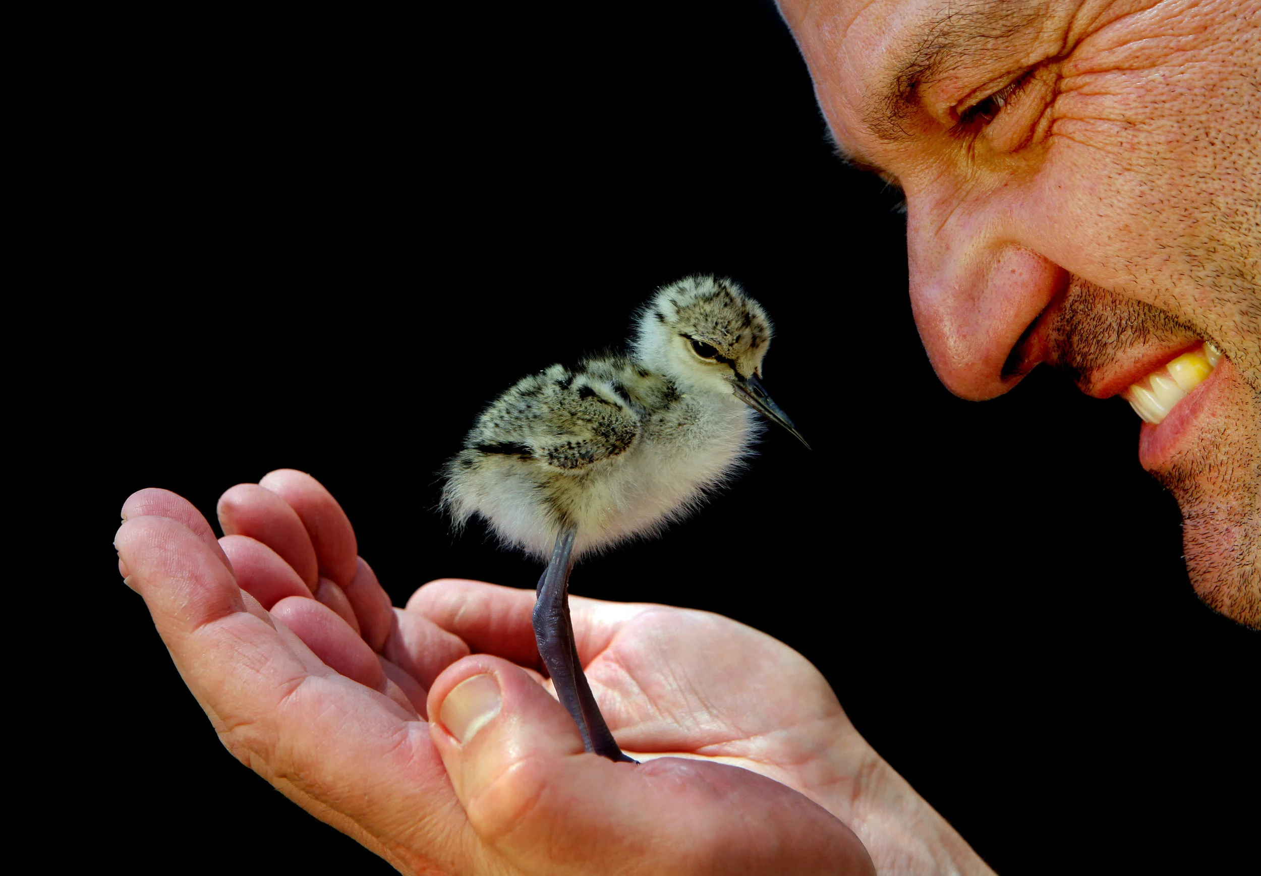 MELBOURNE ZOO-F15857846-372134.JPG