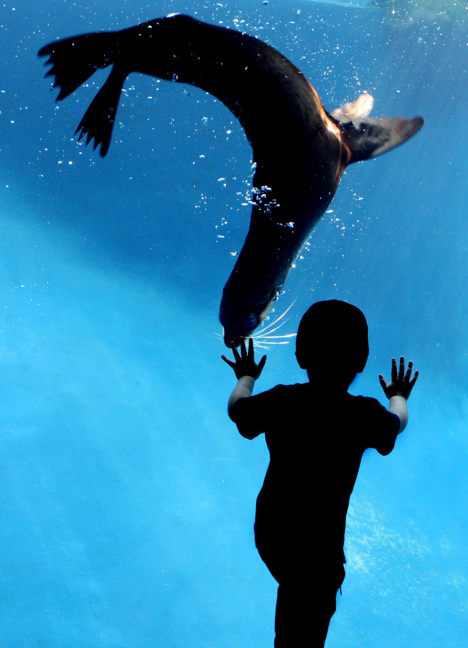 MELBOURNE ZOO-FF882128-372278.JPG