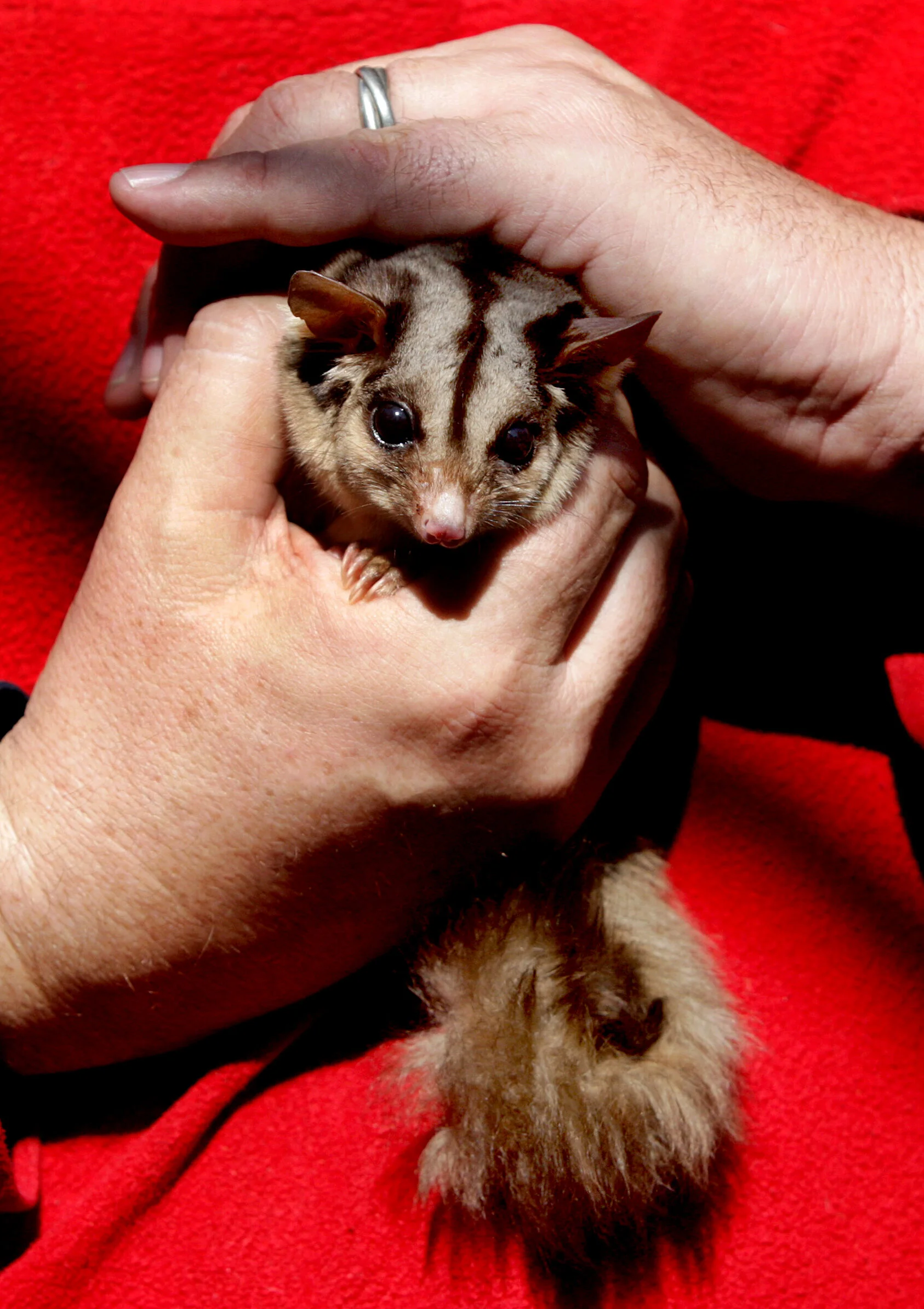 MOONLIT SANCTUARY-FF952942-372307.JPG