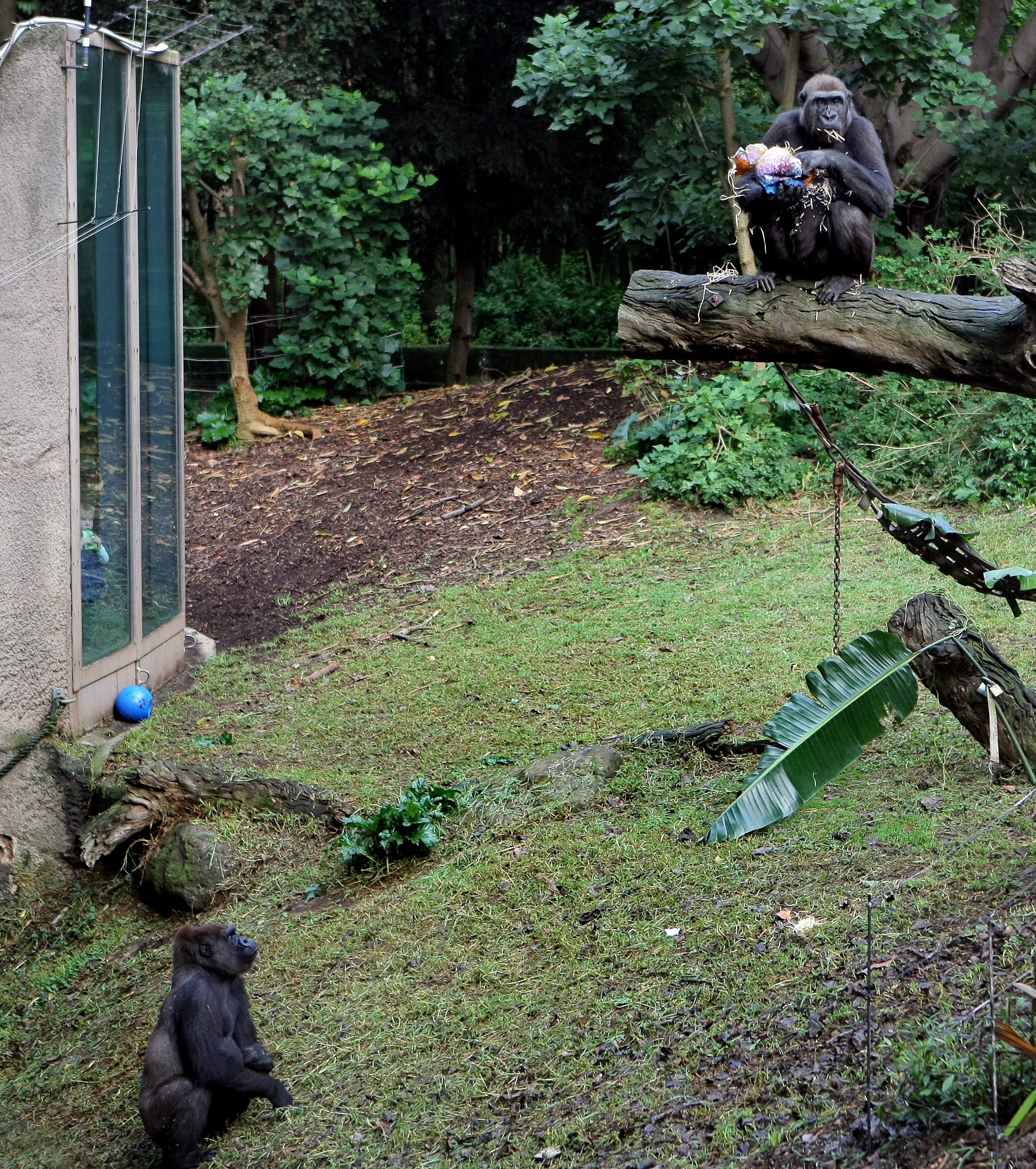 MELBOURNE ZOO-FF952924-372389.JPG