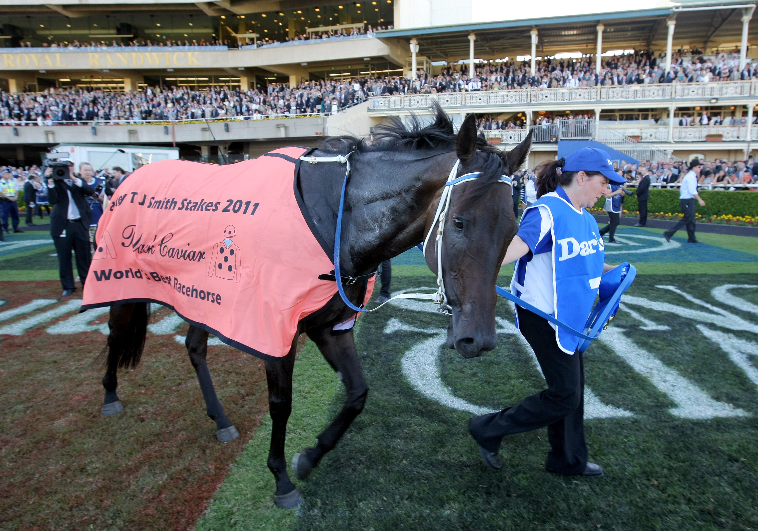 ROYAL RANDWICK RACES-F11578922-582601.JPG