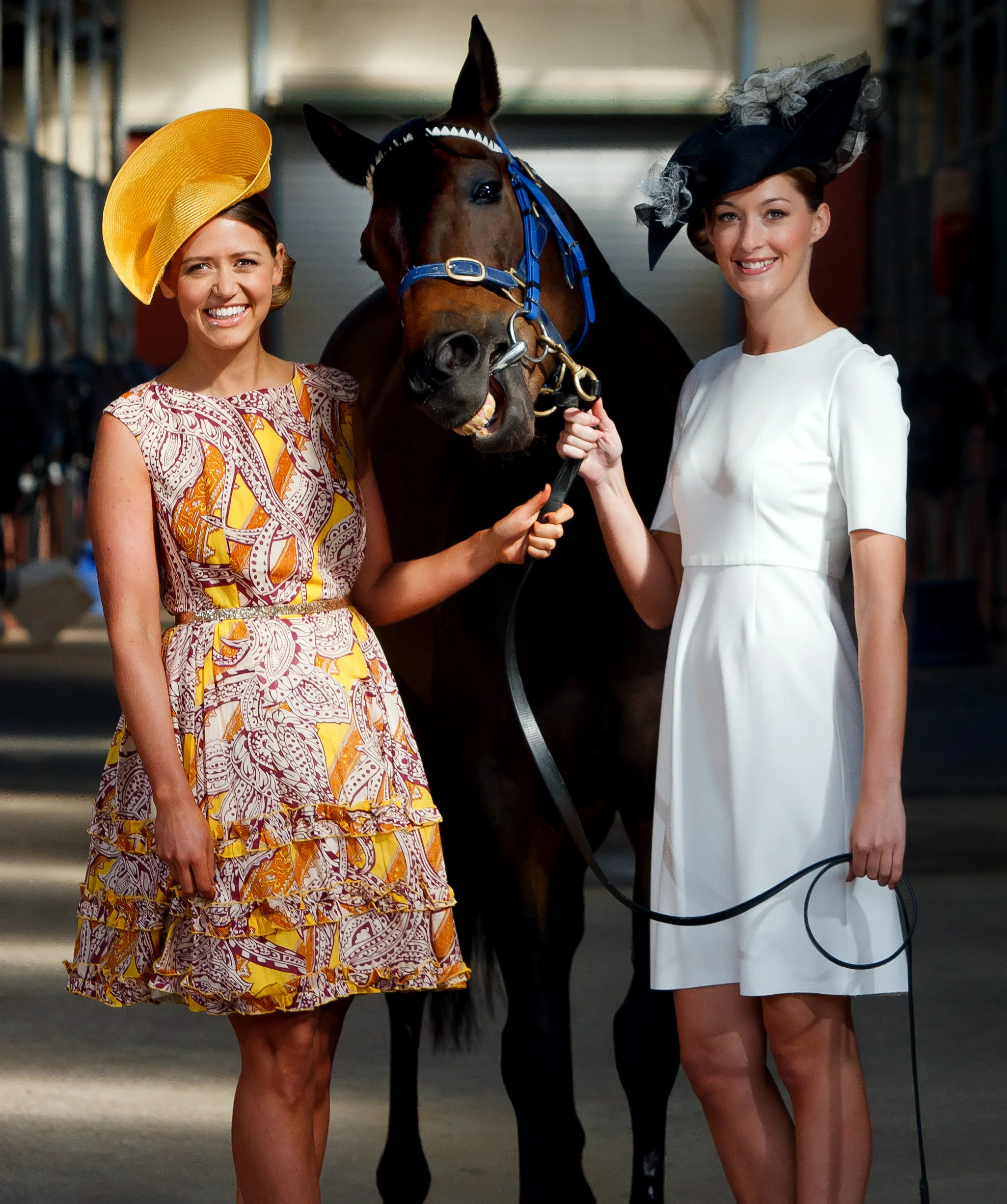 FASHION-F15360602-372018.JPG