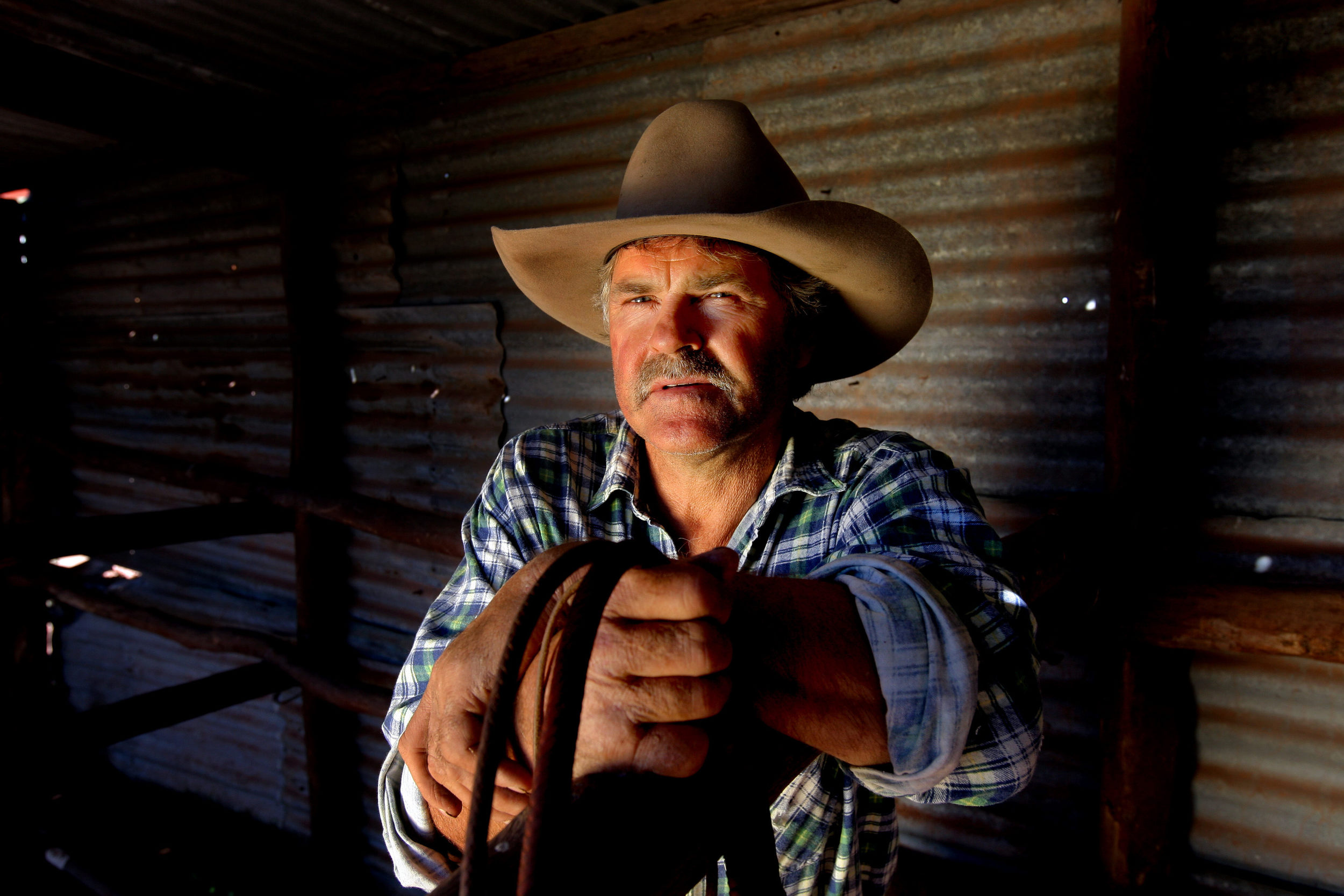 MOUNTAIN CATTLEMEN-F13612540-334500.JPG