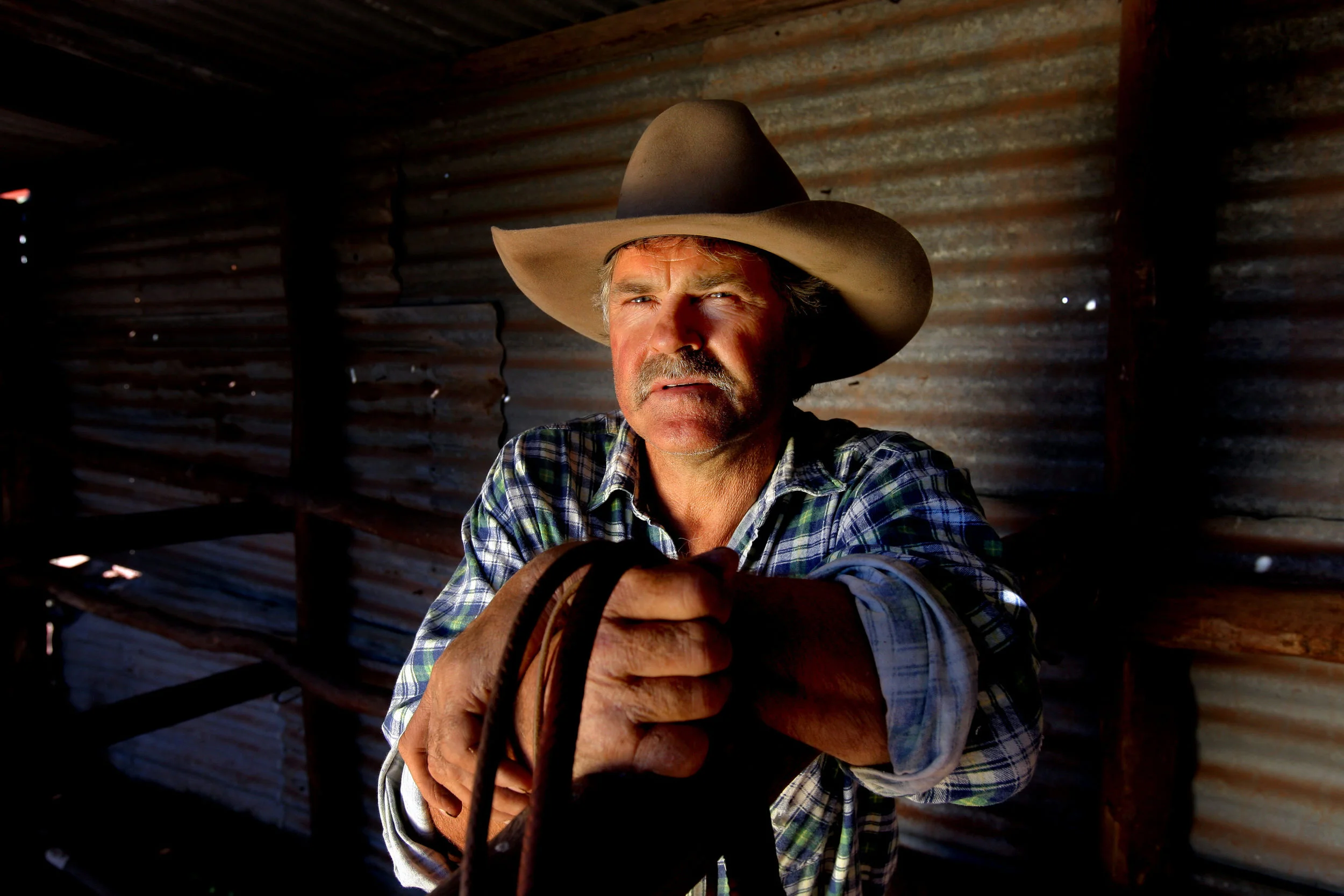 MOUNTAIN CATTLEMEN-F13612540-371985.JPG