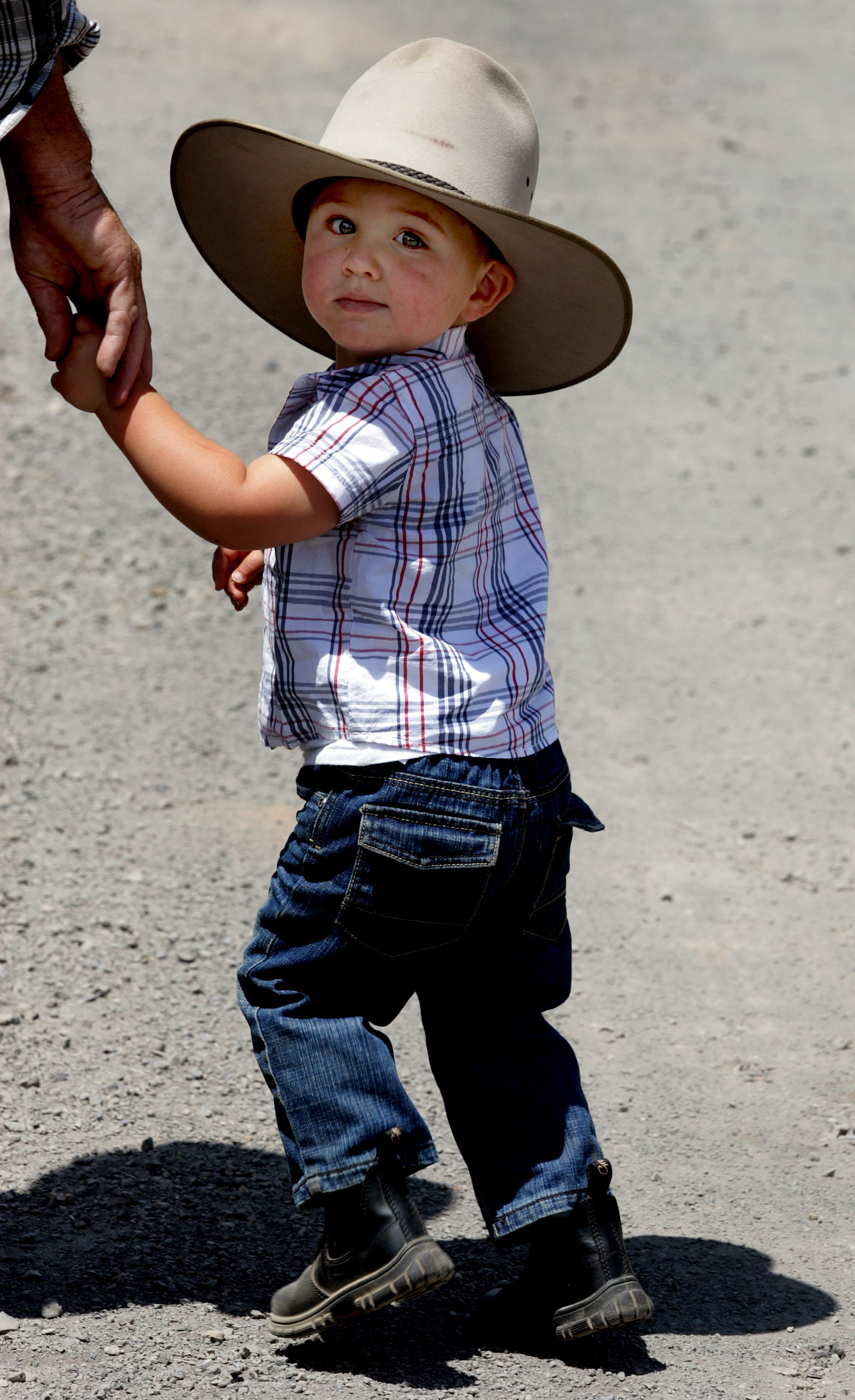 MOUNTAIN CATTLEMEN-F13612541-371986.JPG