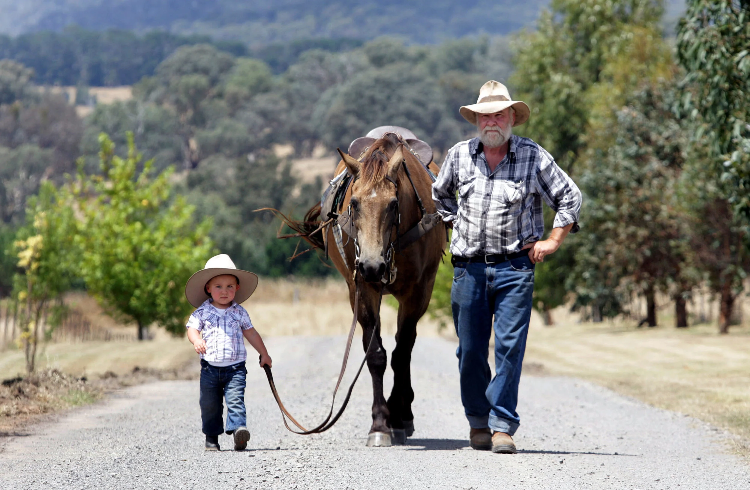 MOUNTAIN CATTLEMEN-F13612007-371984.JPG