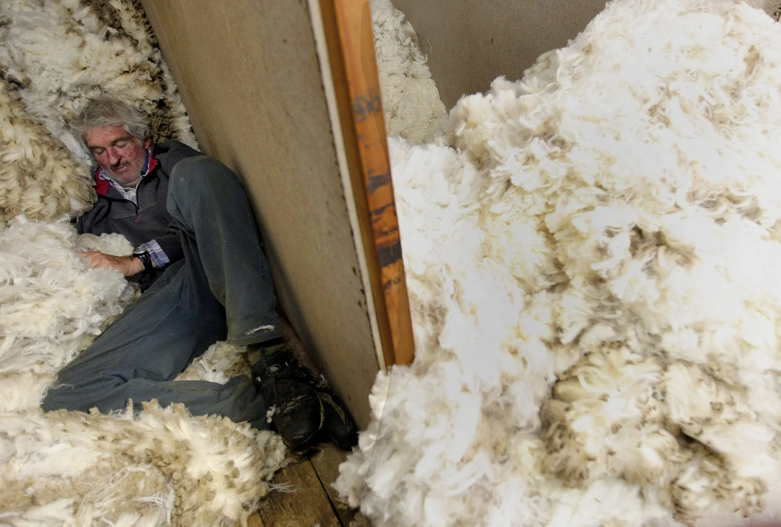 SHEARERS-F11777136-371842.JPG