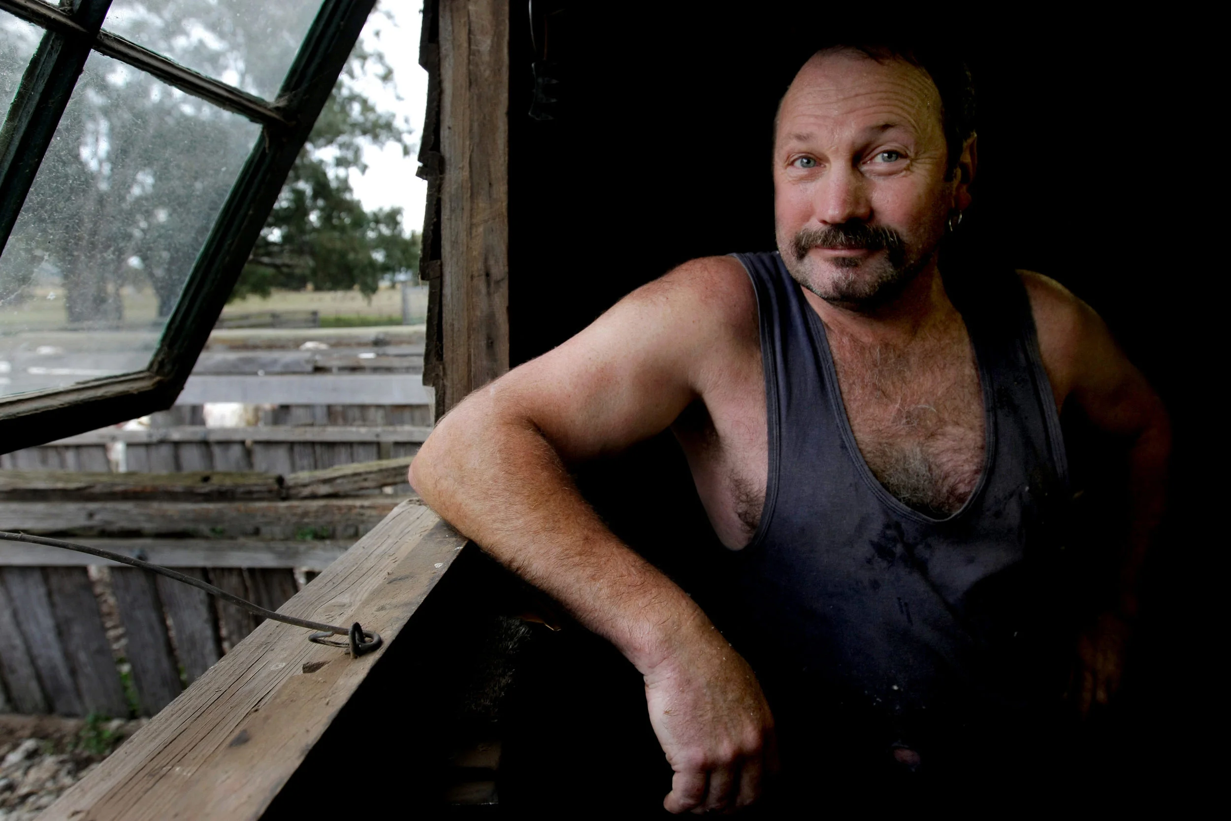 SHEARERS-F11875421-371848.JPG