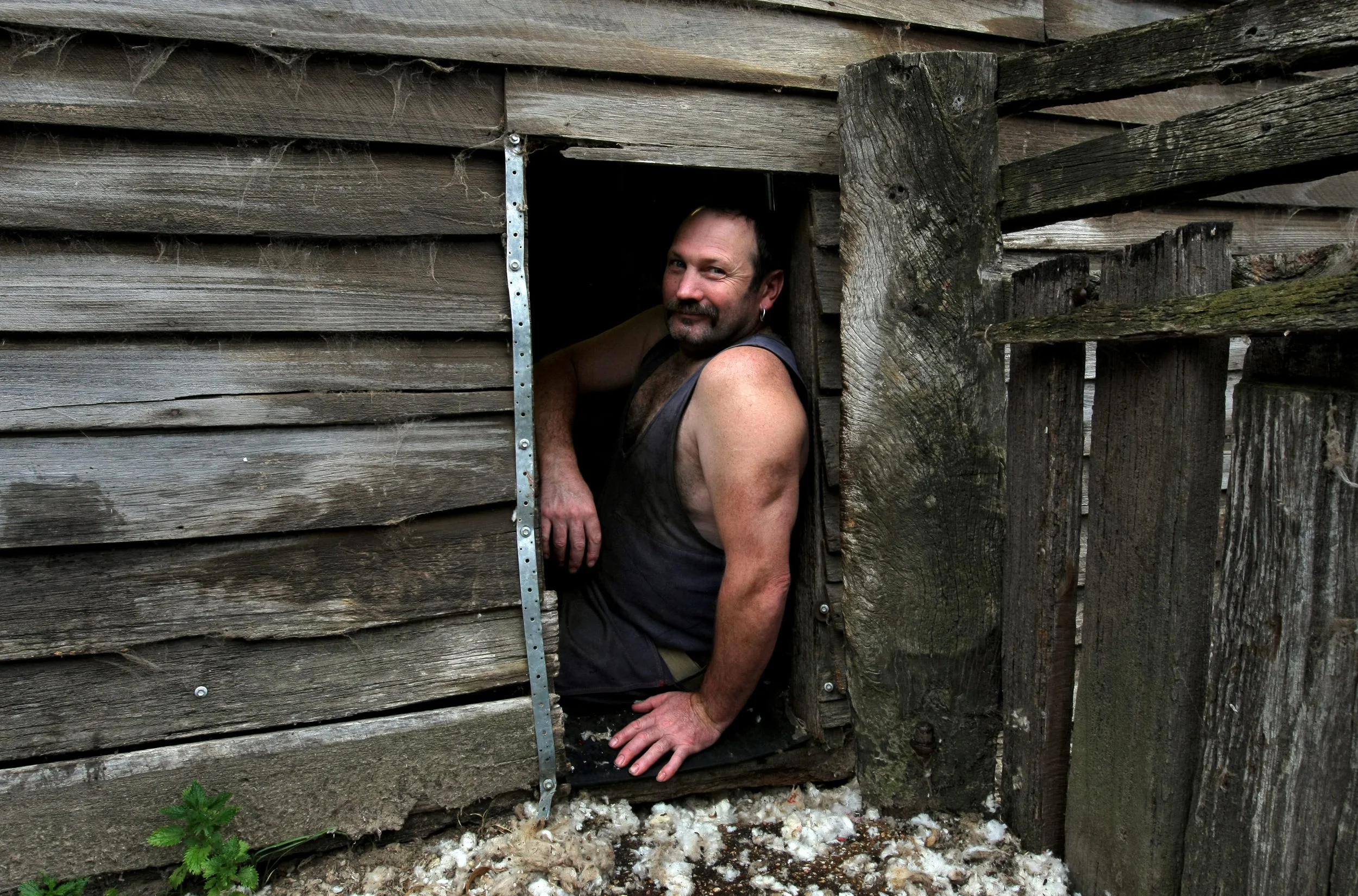 SHEARERS-FF839283-372270.JPG