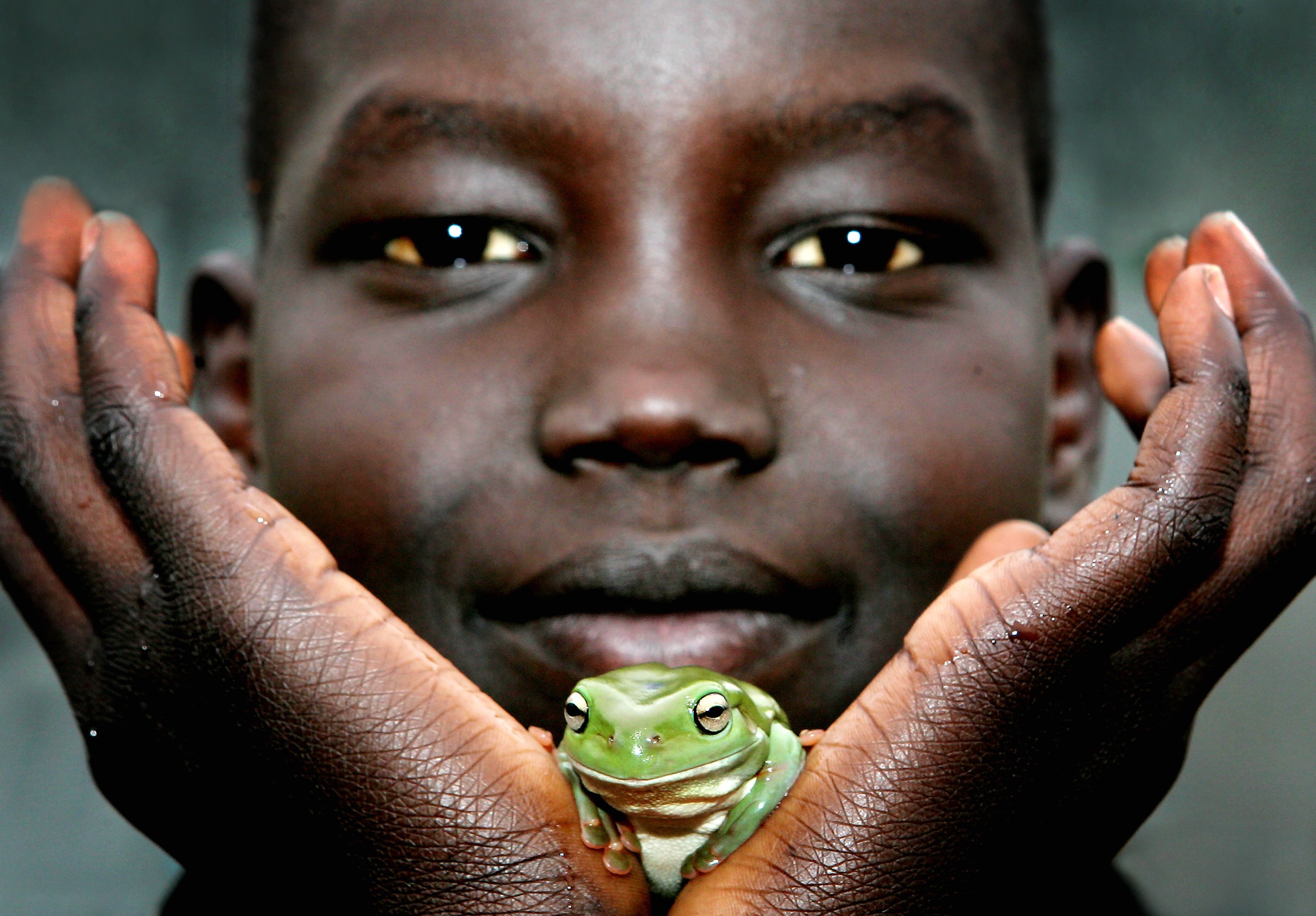 WORLD ENVIRONMENT DAY-FF566694-582764.JPG