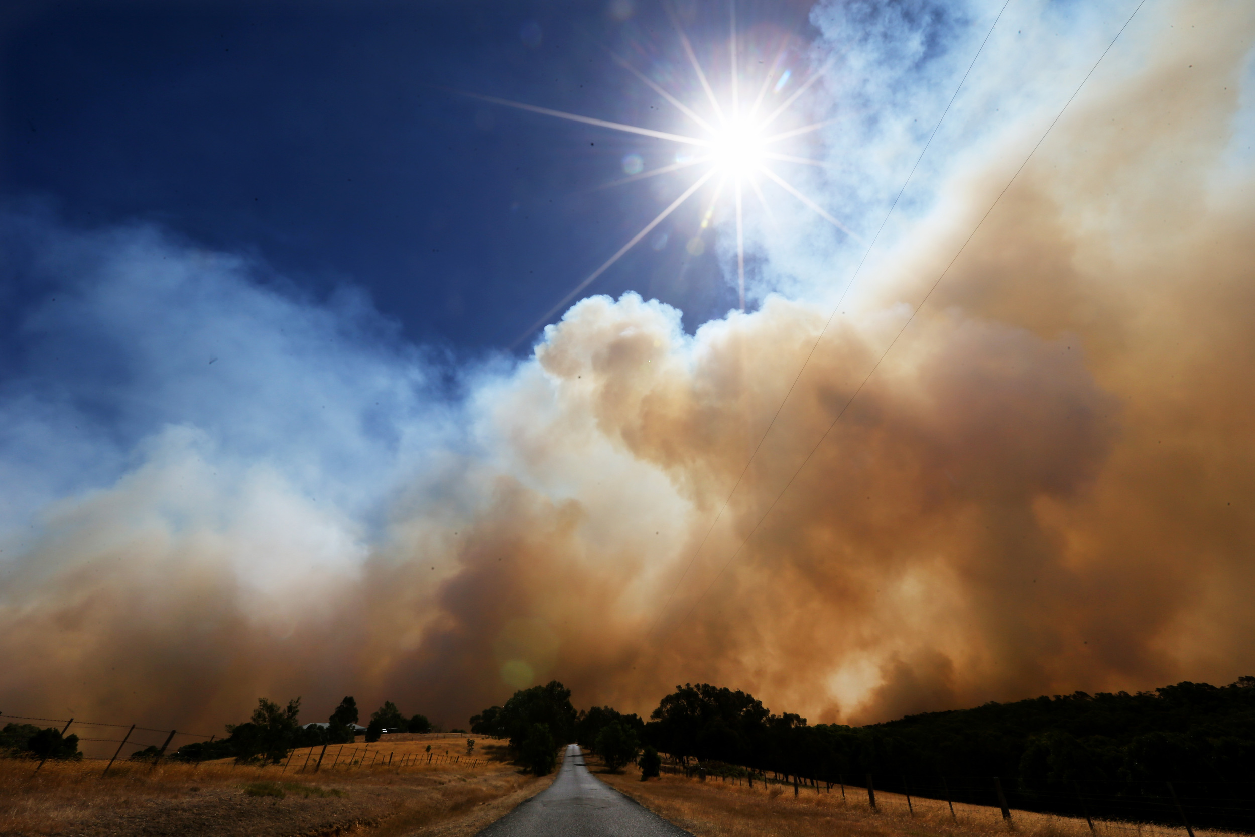FIRES-P2915130-021700.JPG
