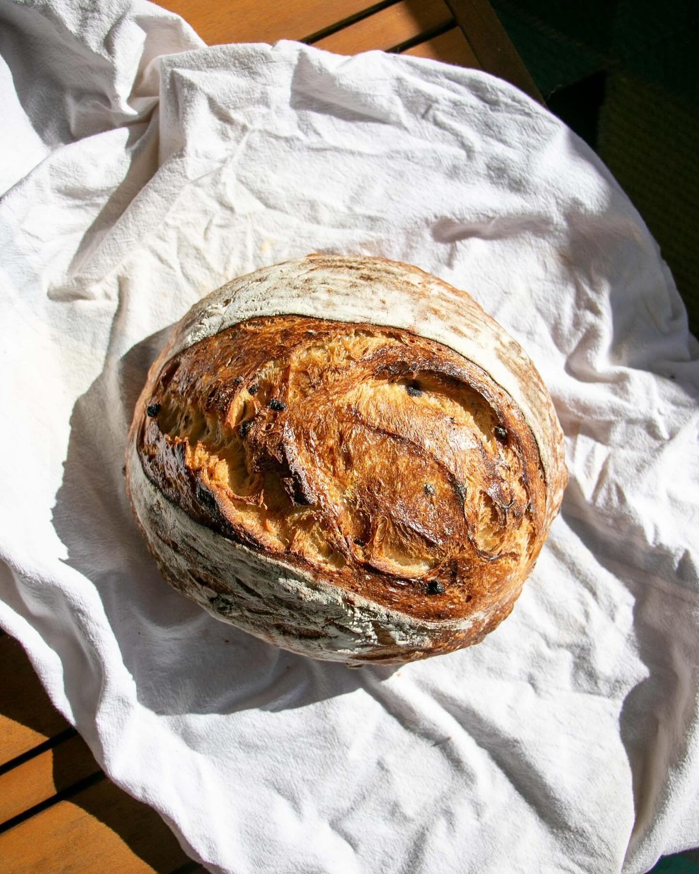 A lil blueberry lemon zest sourdough that came out of my kitchen this weekend. I am willing it to be spring!