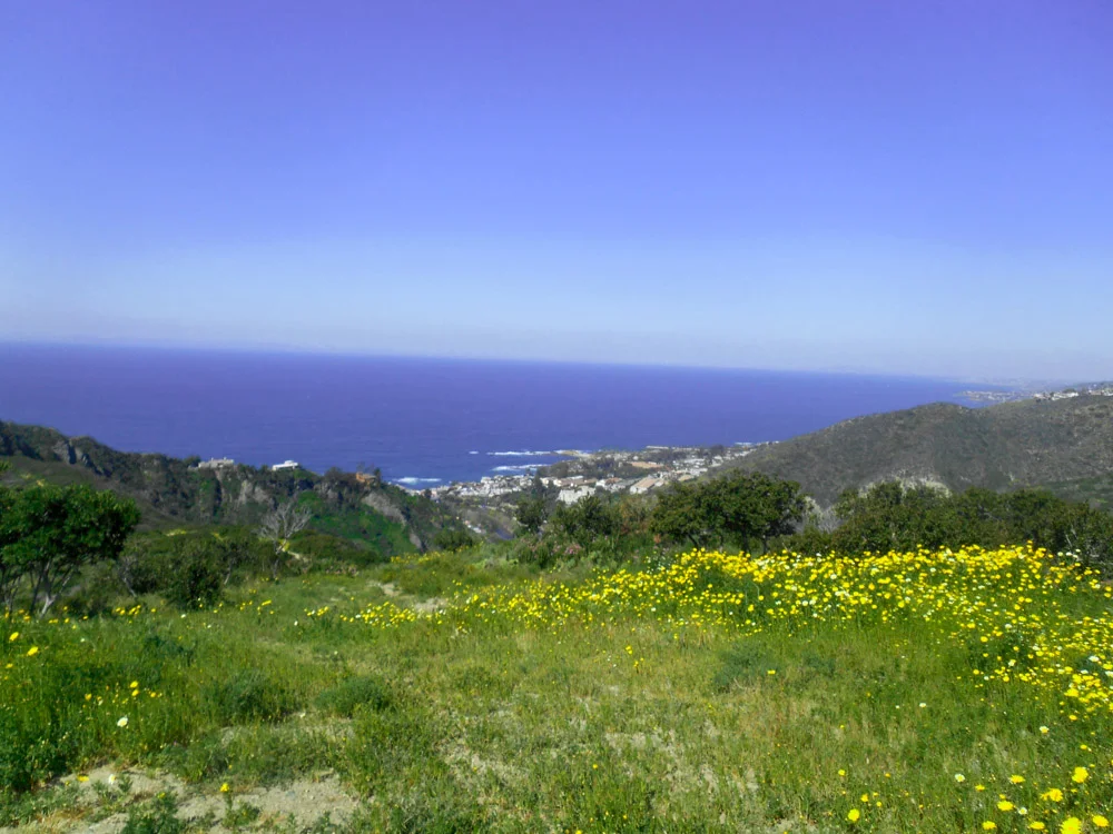 Ocean View from Laguna Niguel