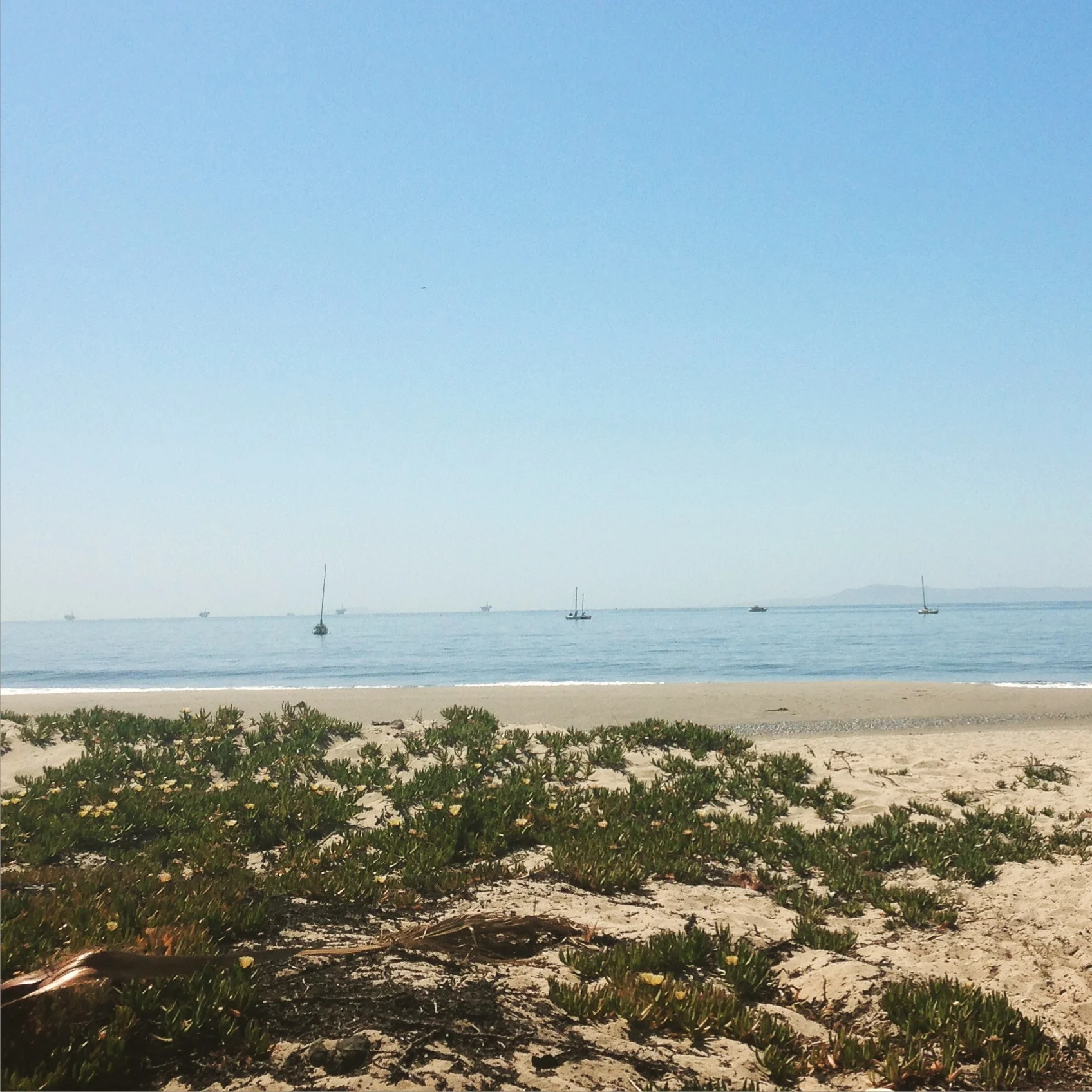 Luxury Meets Leisure