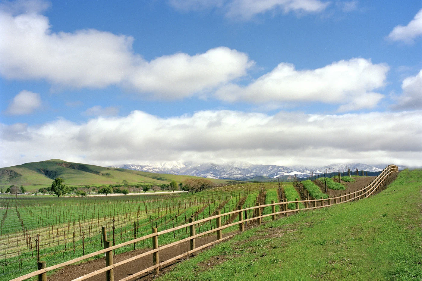 hap can vin snow fence8x10 300a_1.jpg