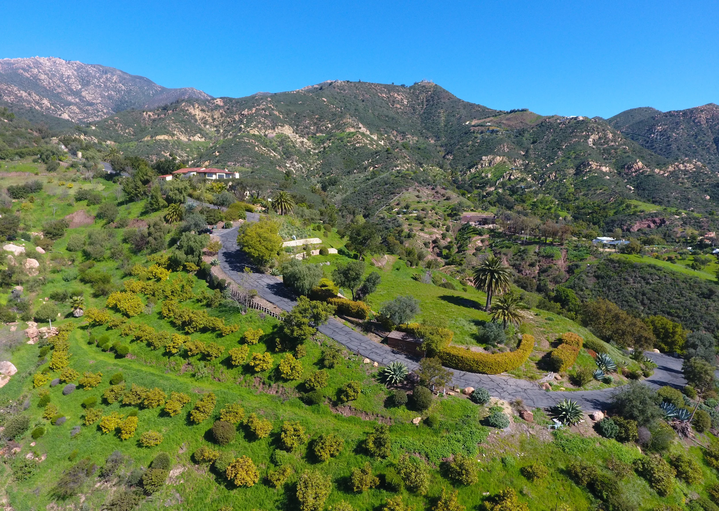 DJI_0015.jpg