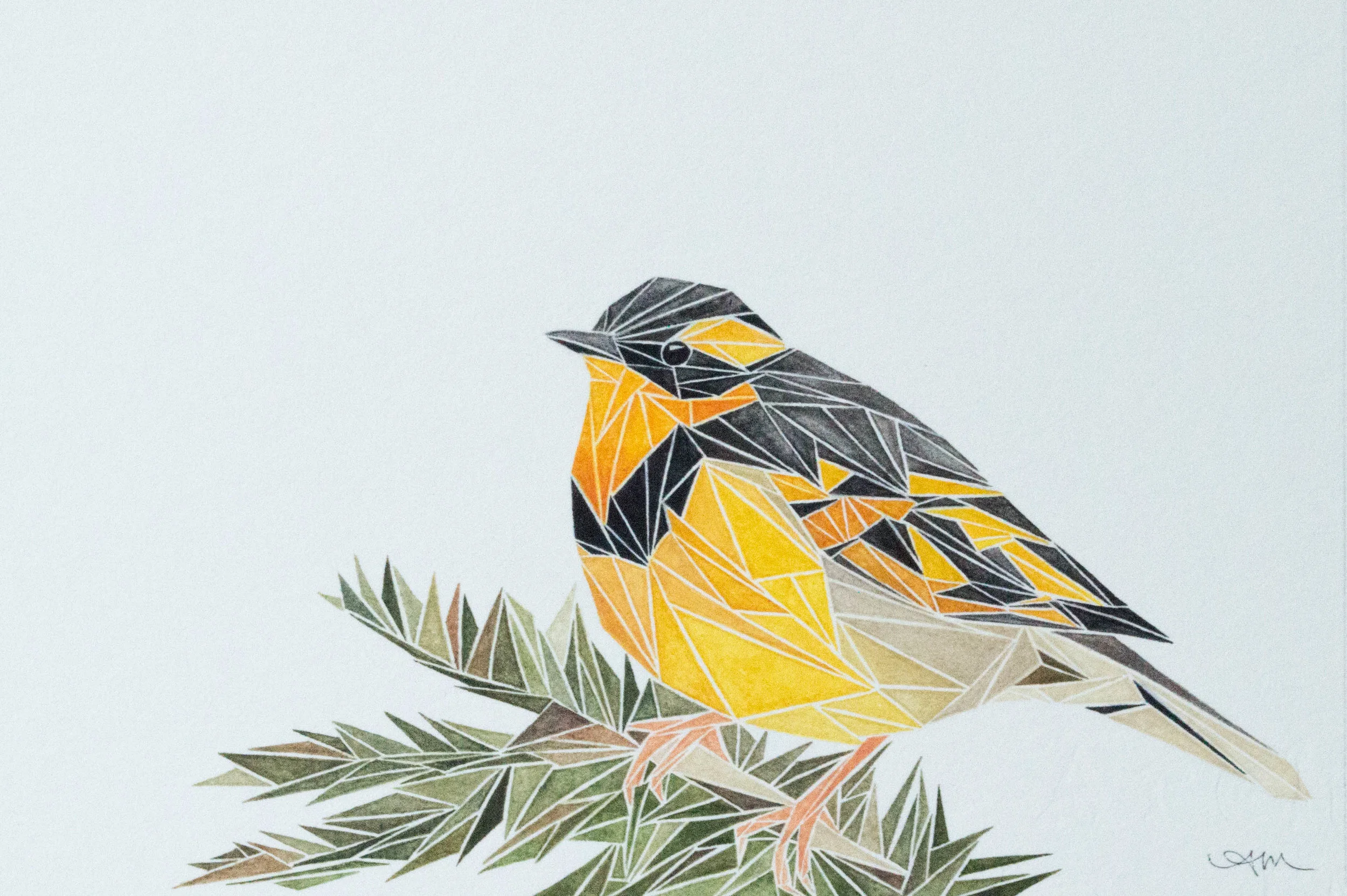 geometric varied thrush, watercolor on paper -PRIVATE COLLECTION-