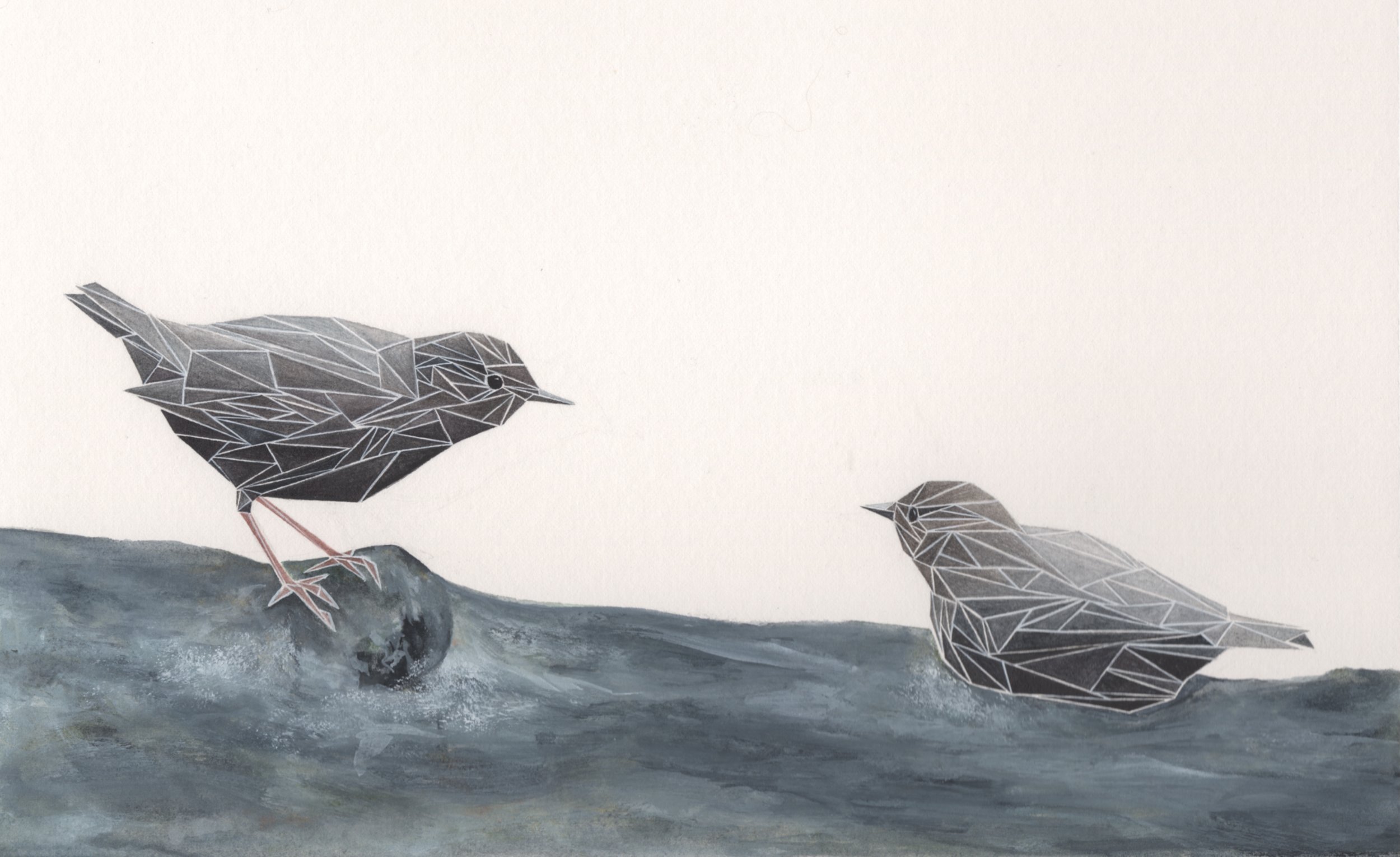 geometric american dippers, watercolor on paper