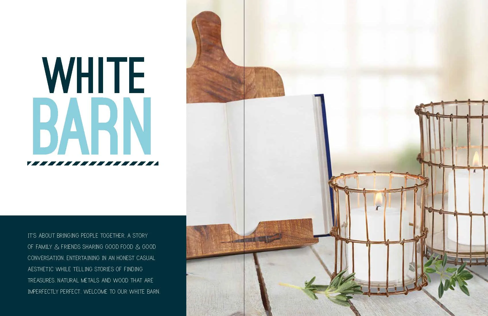 2016 Catalog FINAL Proof - FORESIDE_Page_03.jpg