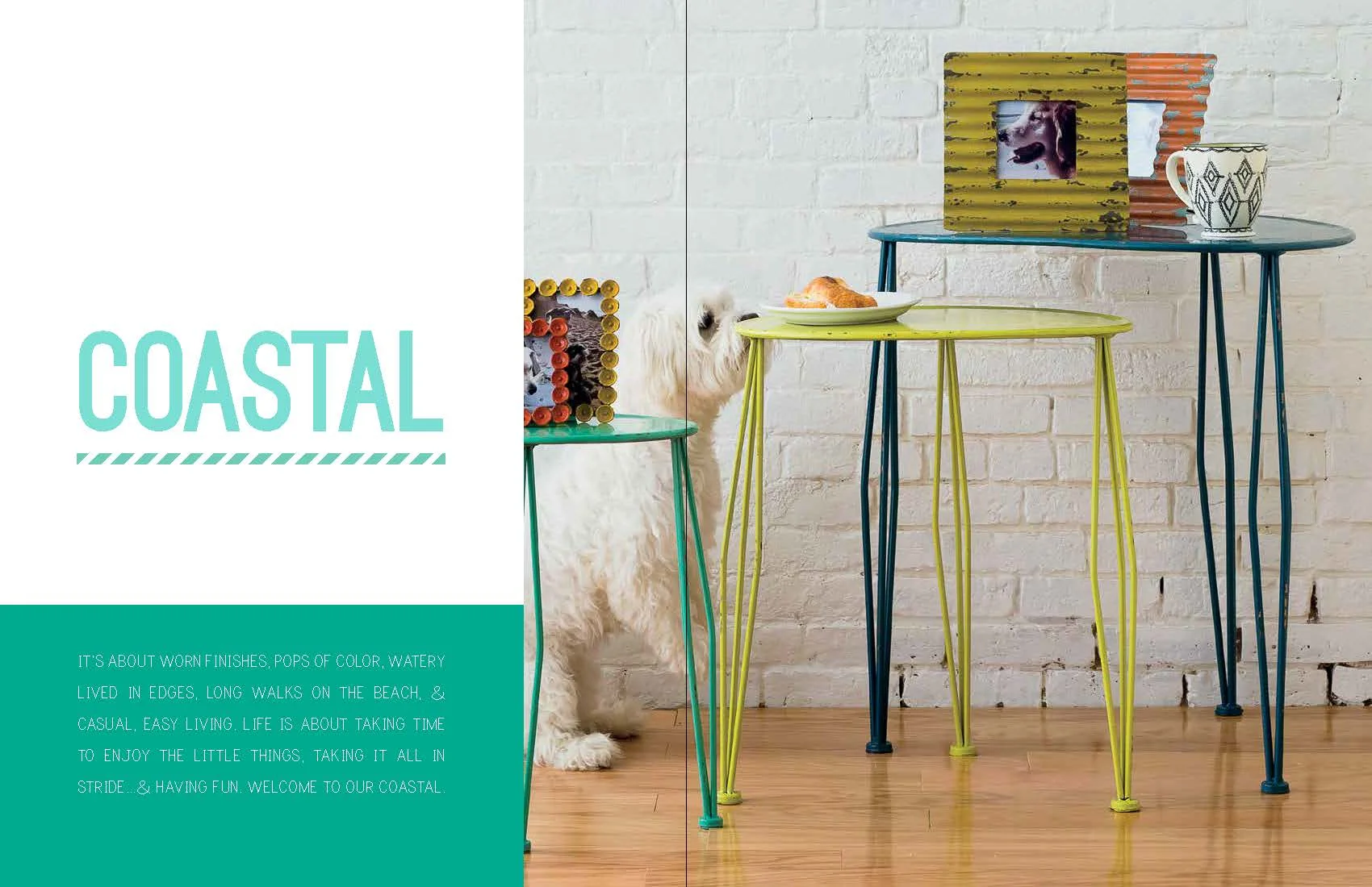 2016 Catalog FINAL Proof - FORESIDE_Page_64.jpg