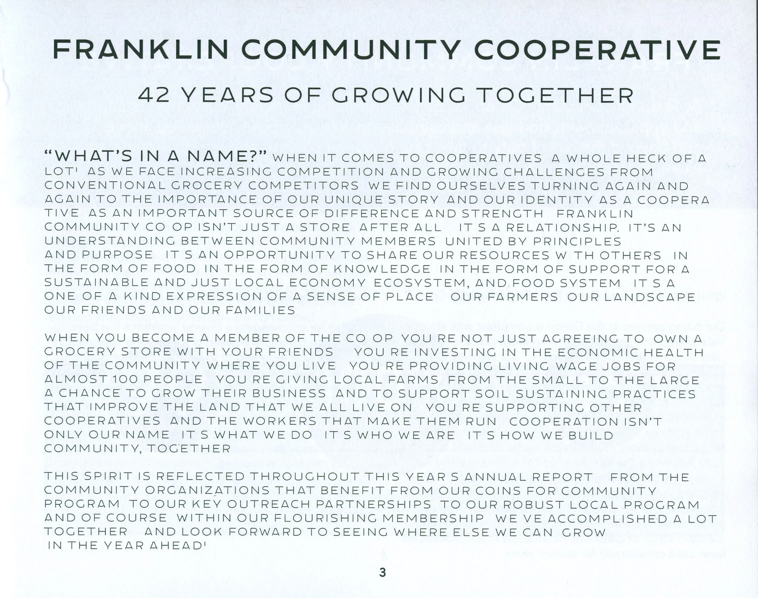 Annual Reportp3.jpeg