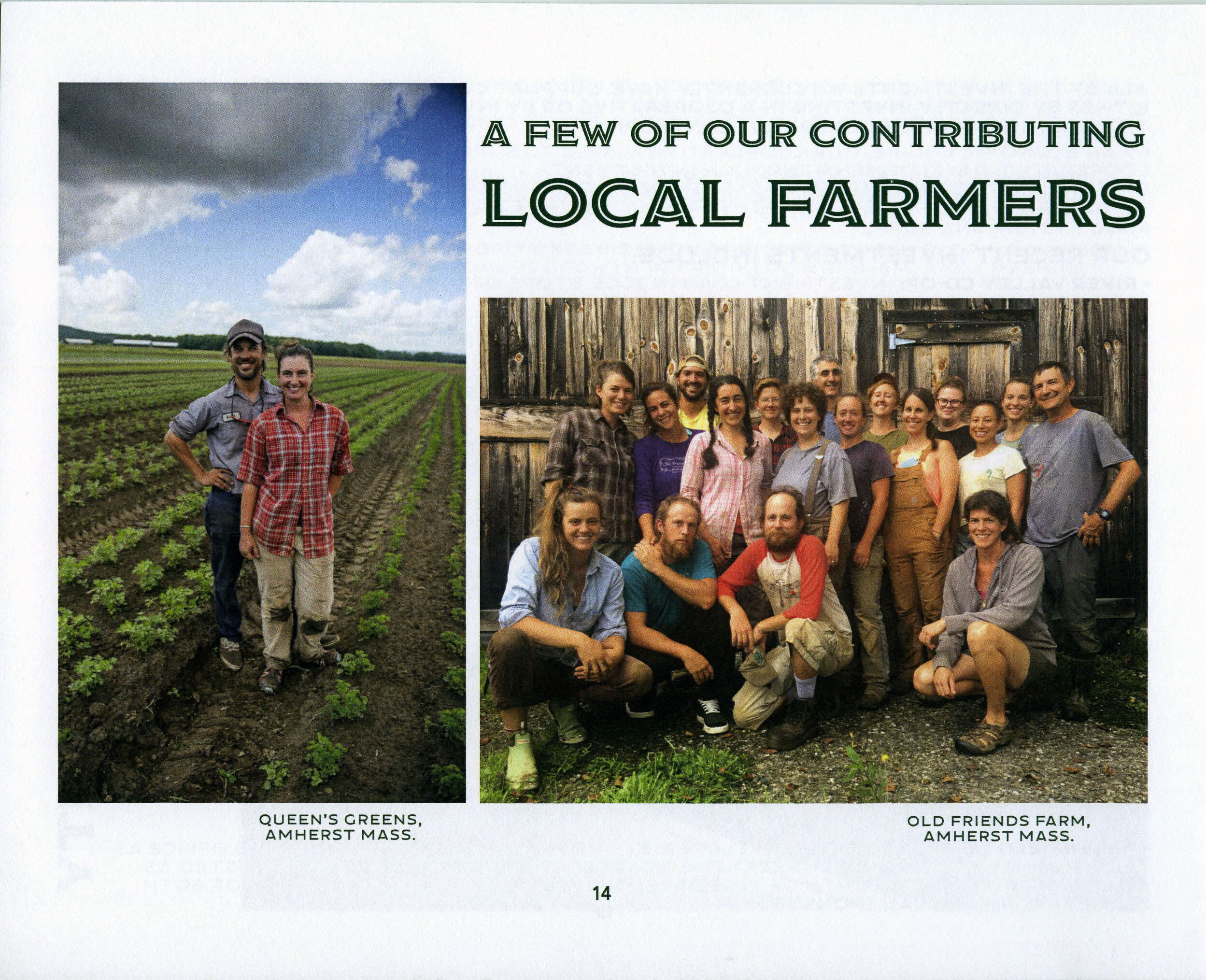 Annual Reportp14.jpeg