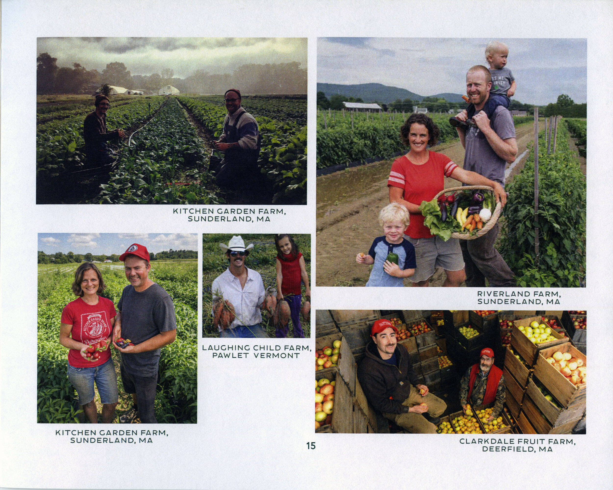 Annual Reportp15.jpeg