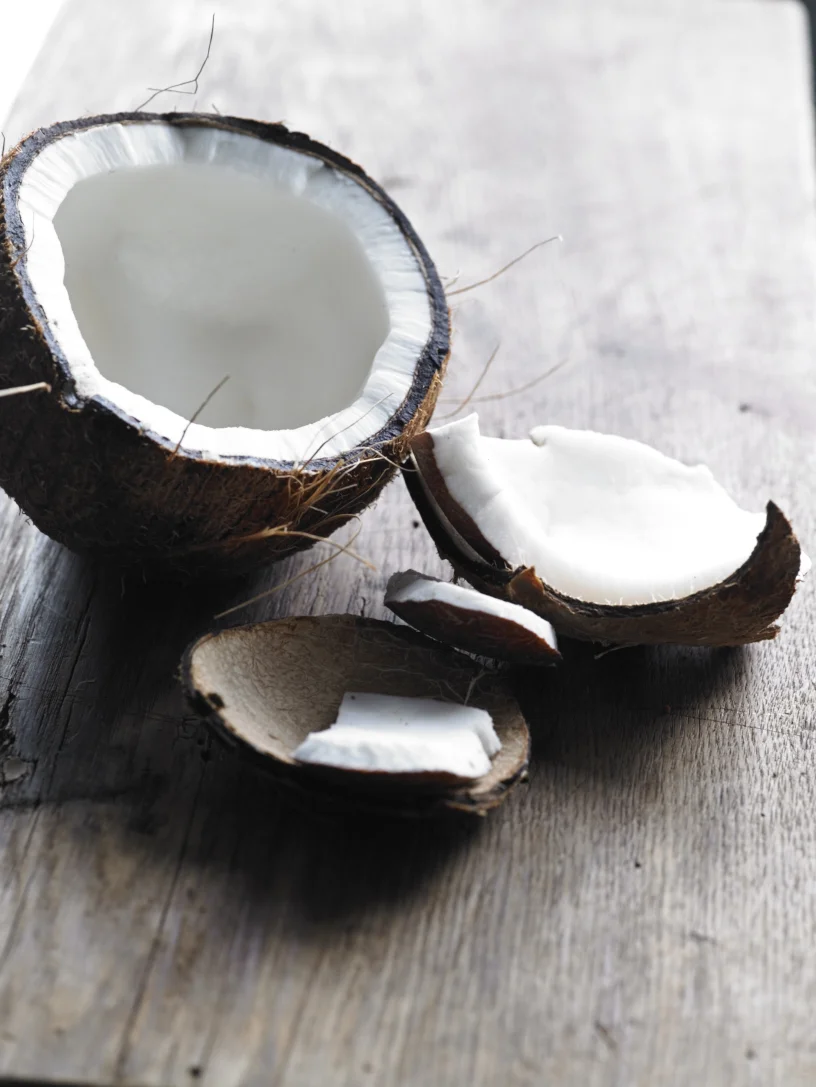 Coconut 0013.jpg