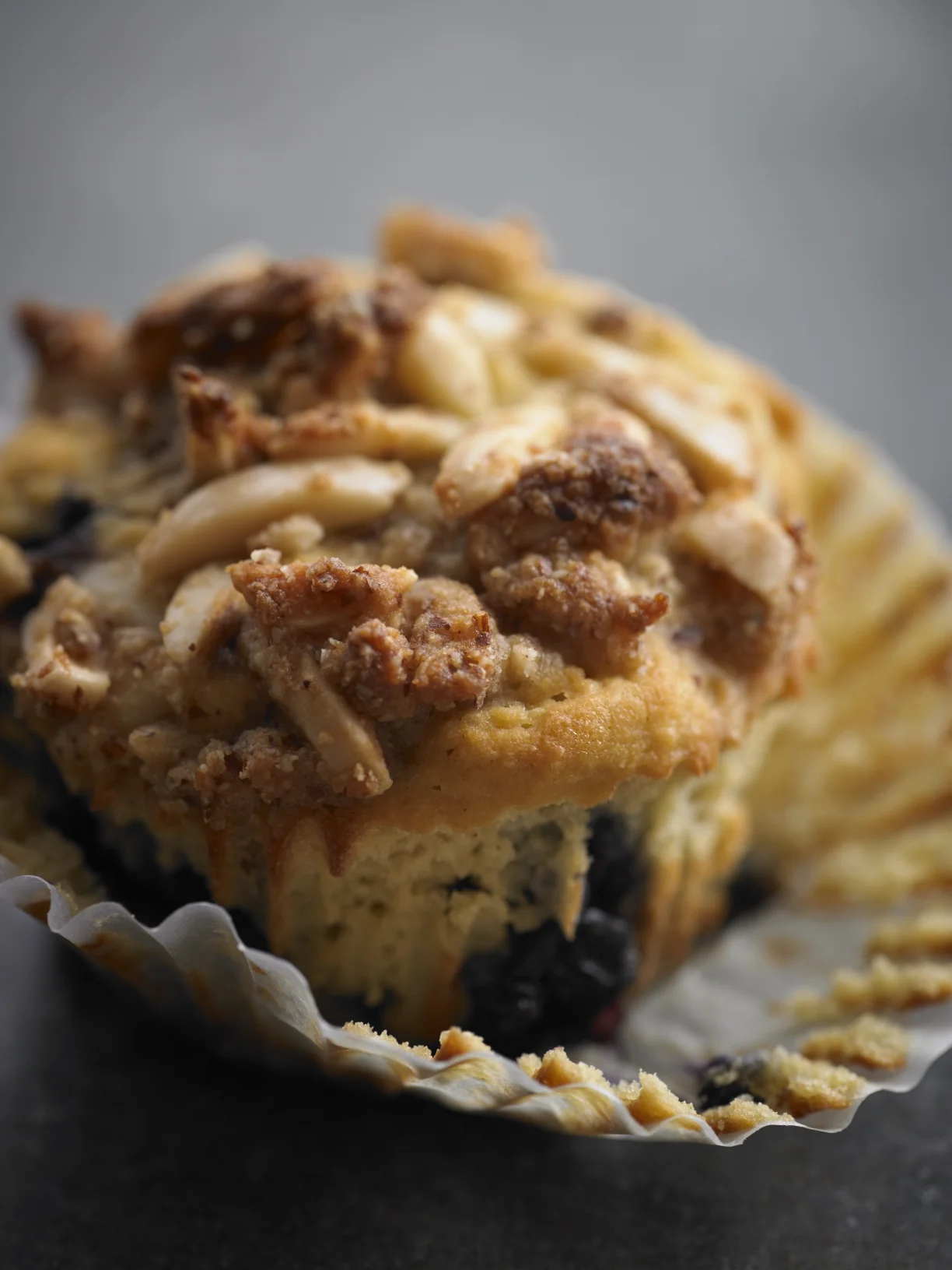 BlueberryMuffin 0085.jpg