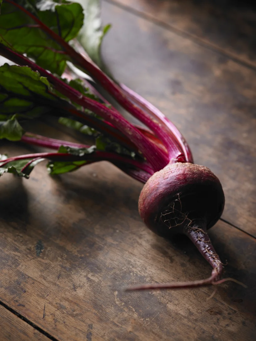 Beet 0111.jpg