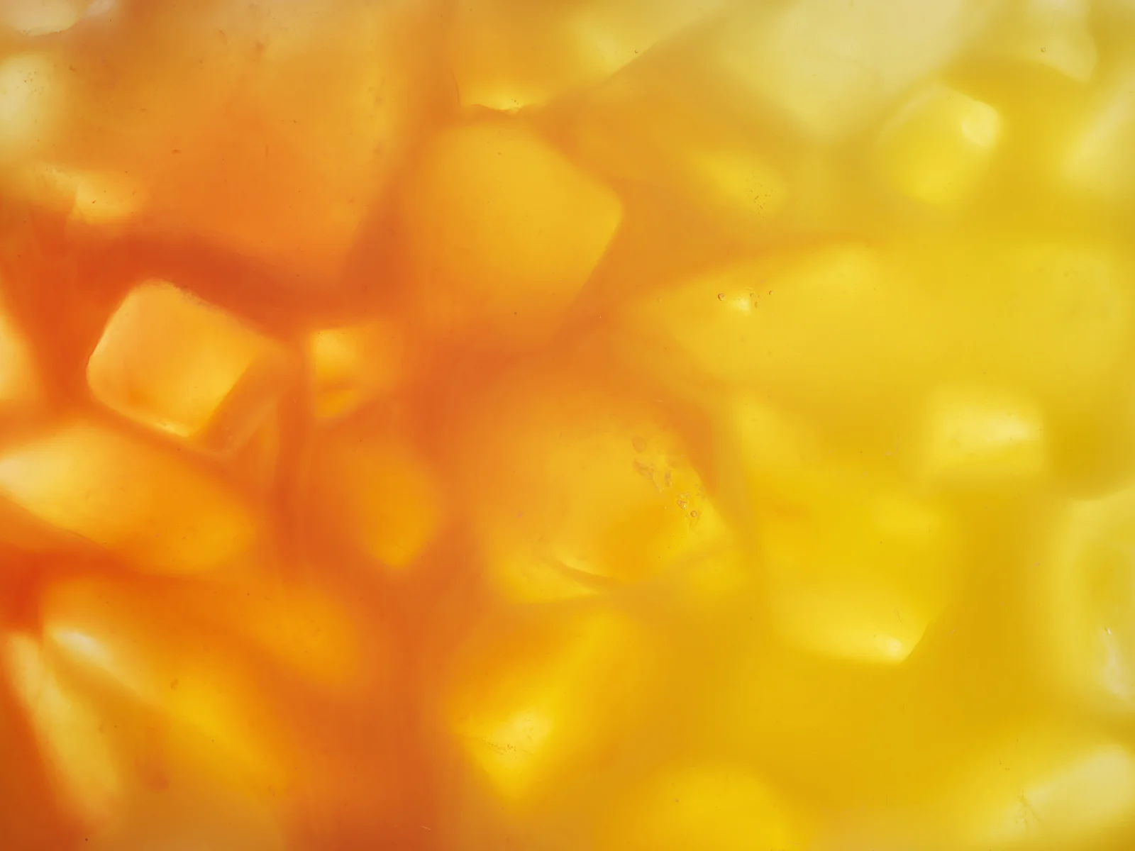 Cocktails_0075.jpg