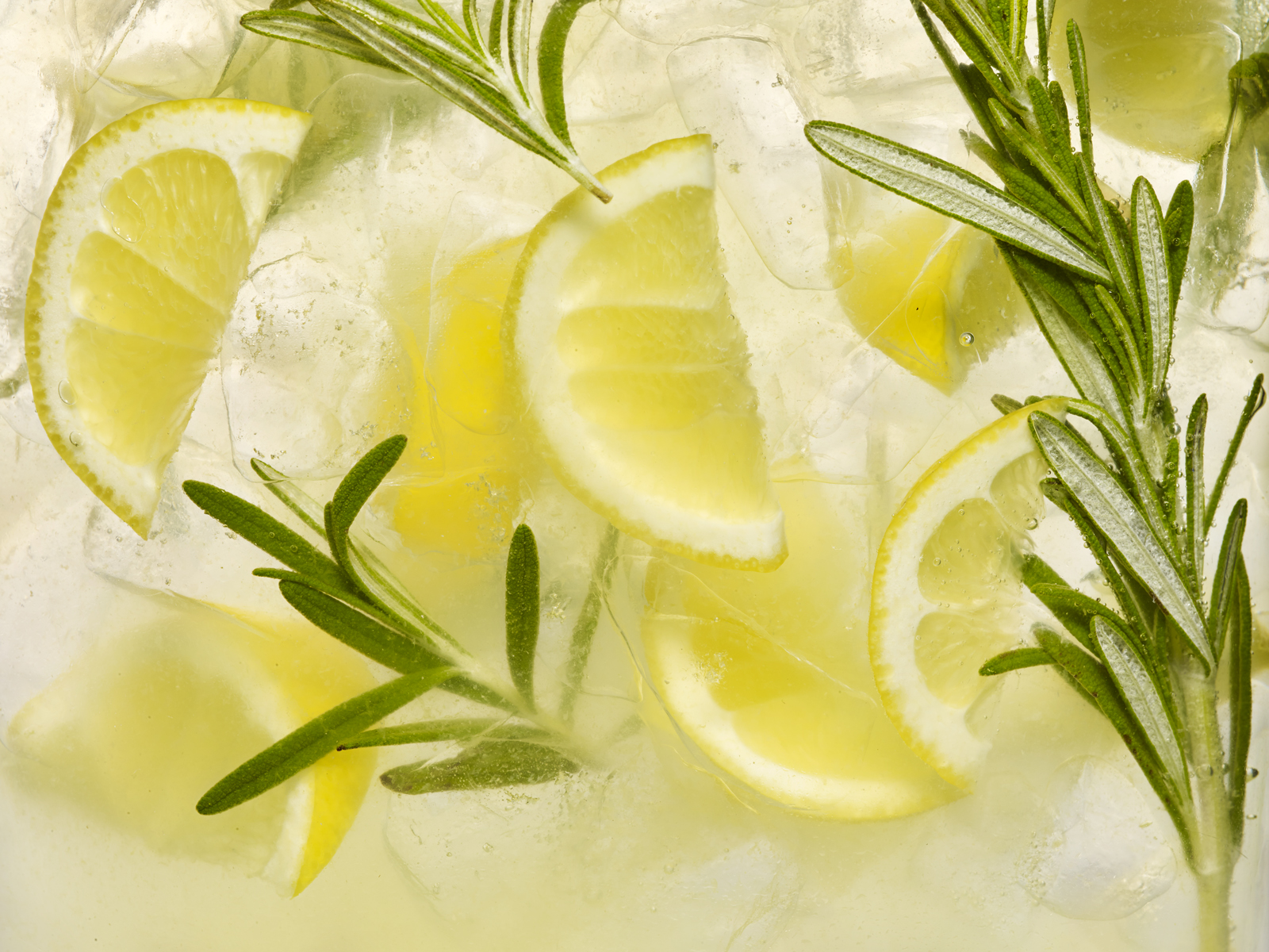 RosemaryLemon_0194.jpg
