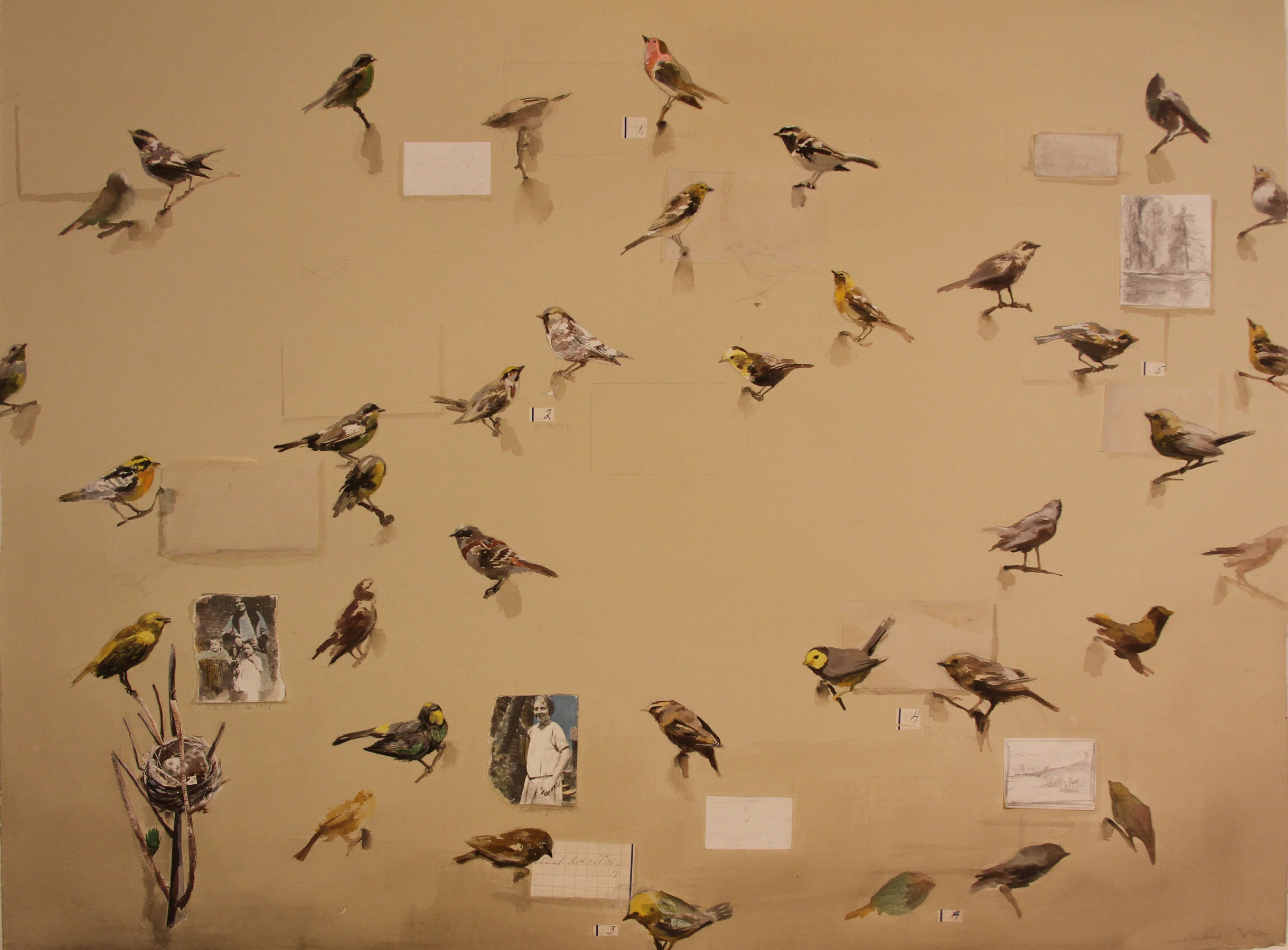 Aviary of the mind