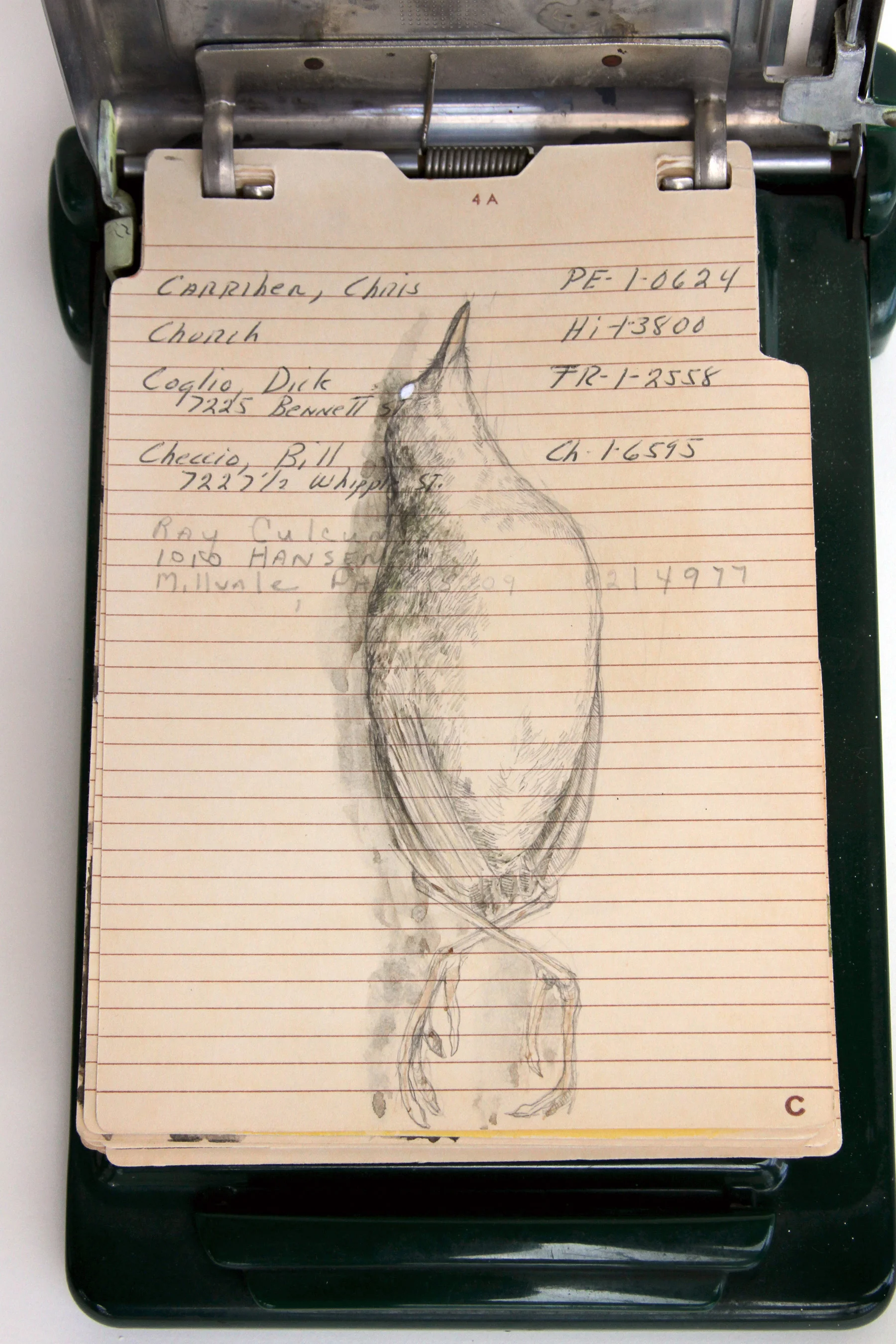Address book bestiary (detail: C is for Crake)