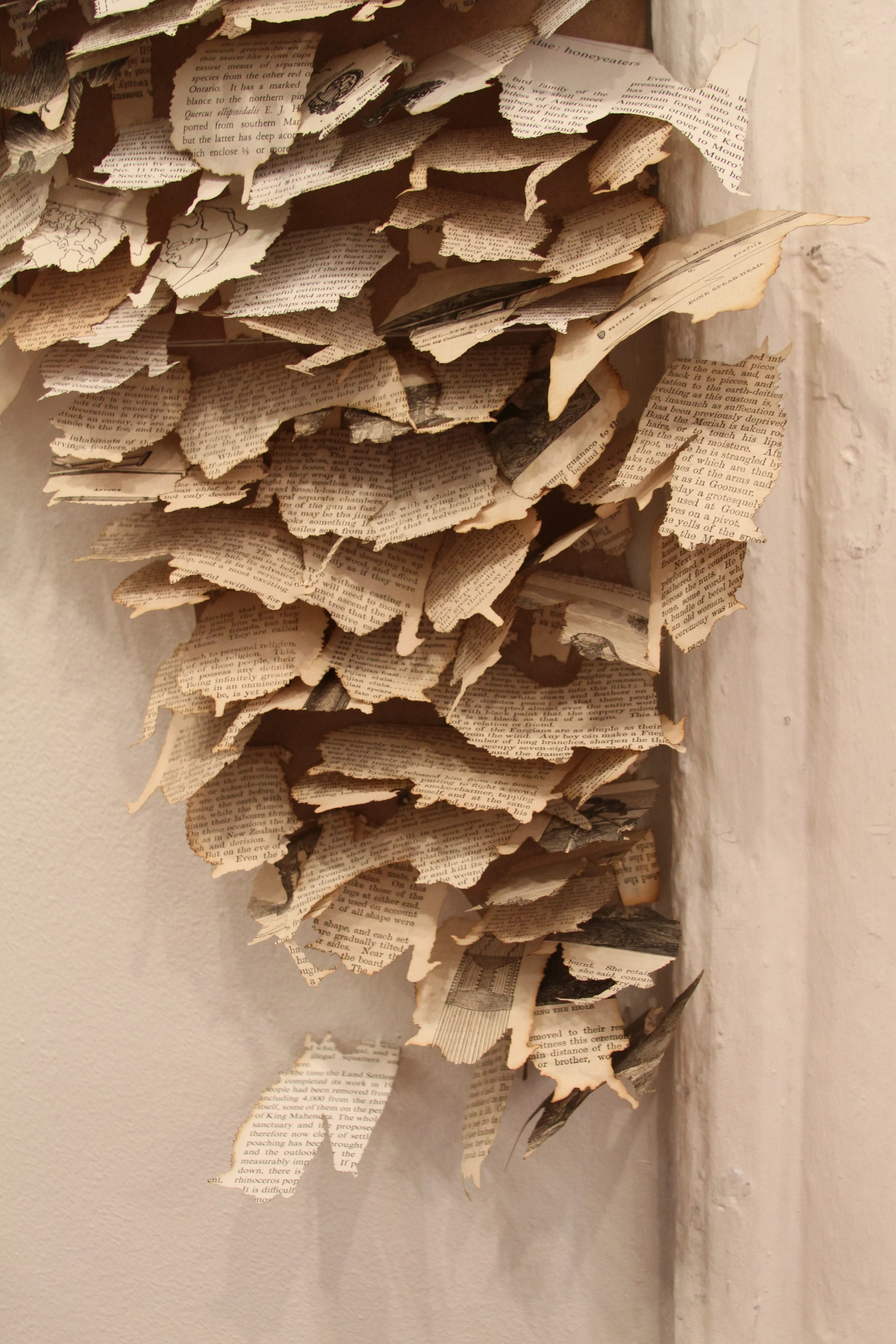 Hibernaculum (detail)