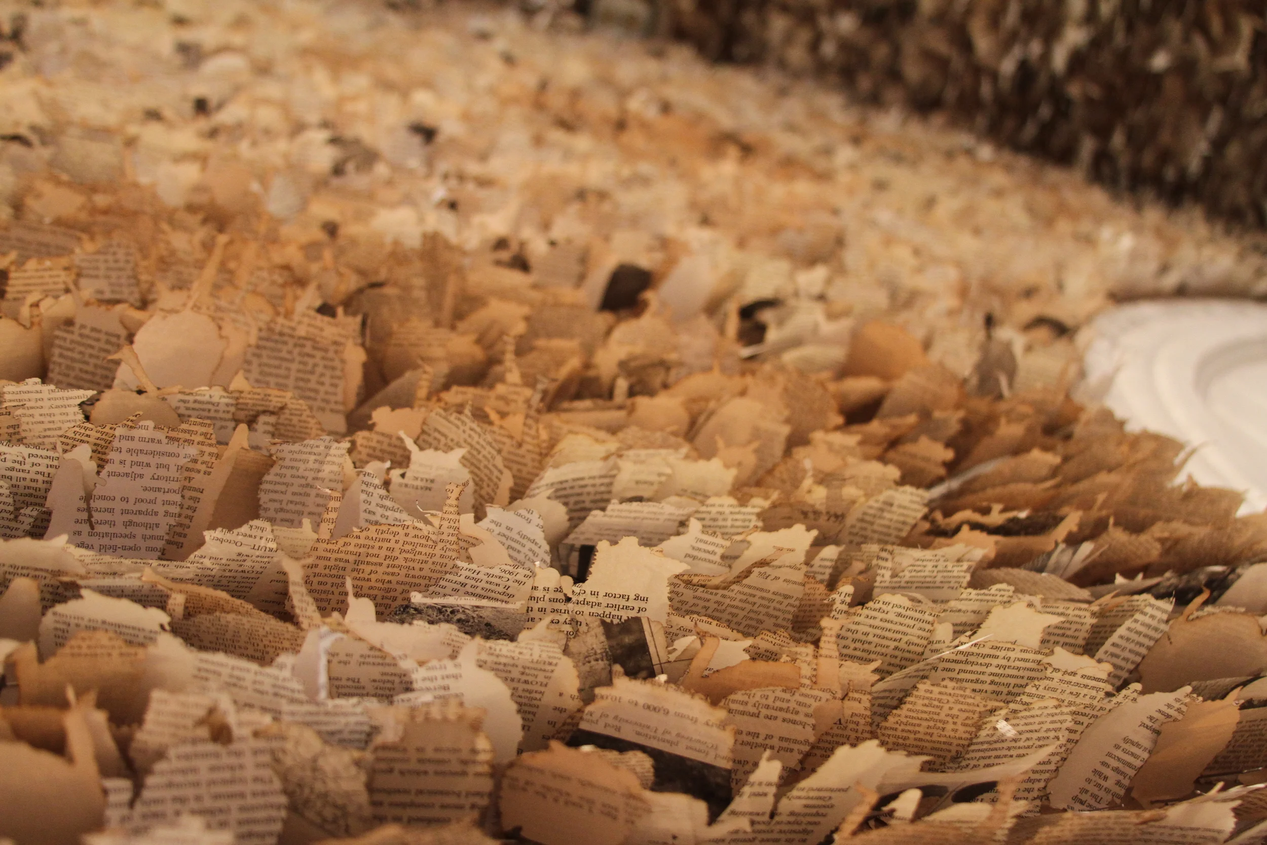 Hibernaculum (detail)