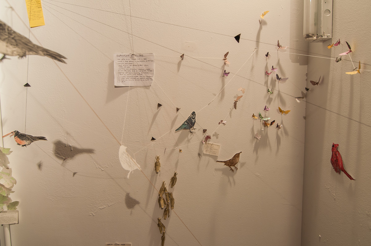 Food web (detail)