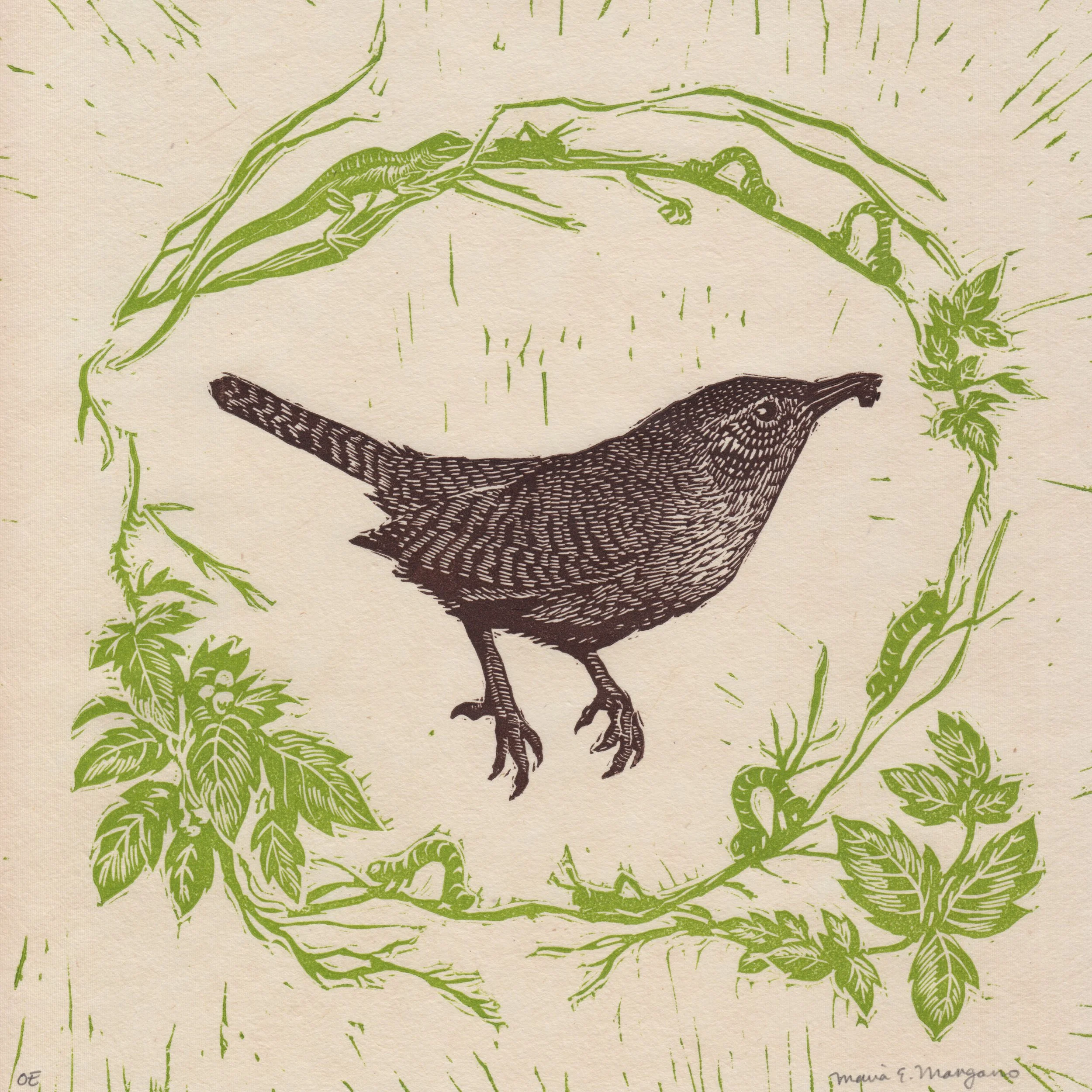  Carolina Wren  Relief Print  8” x 8”  2009 
