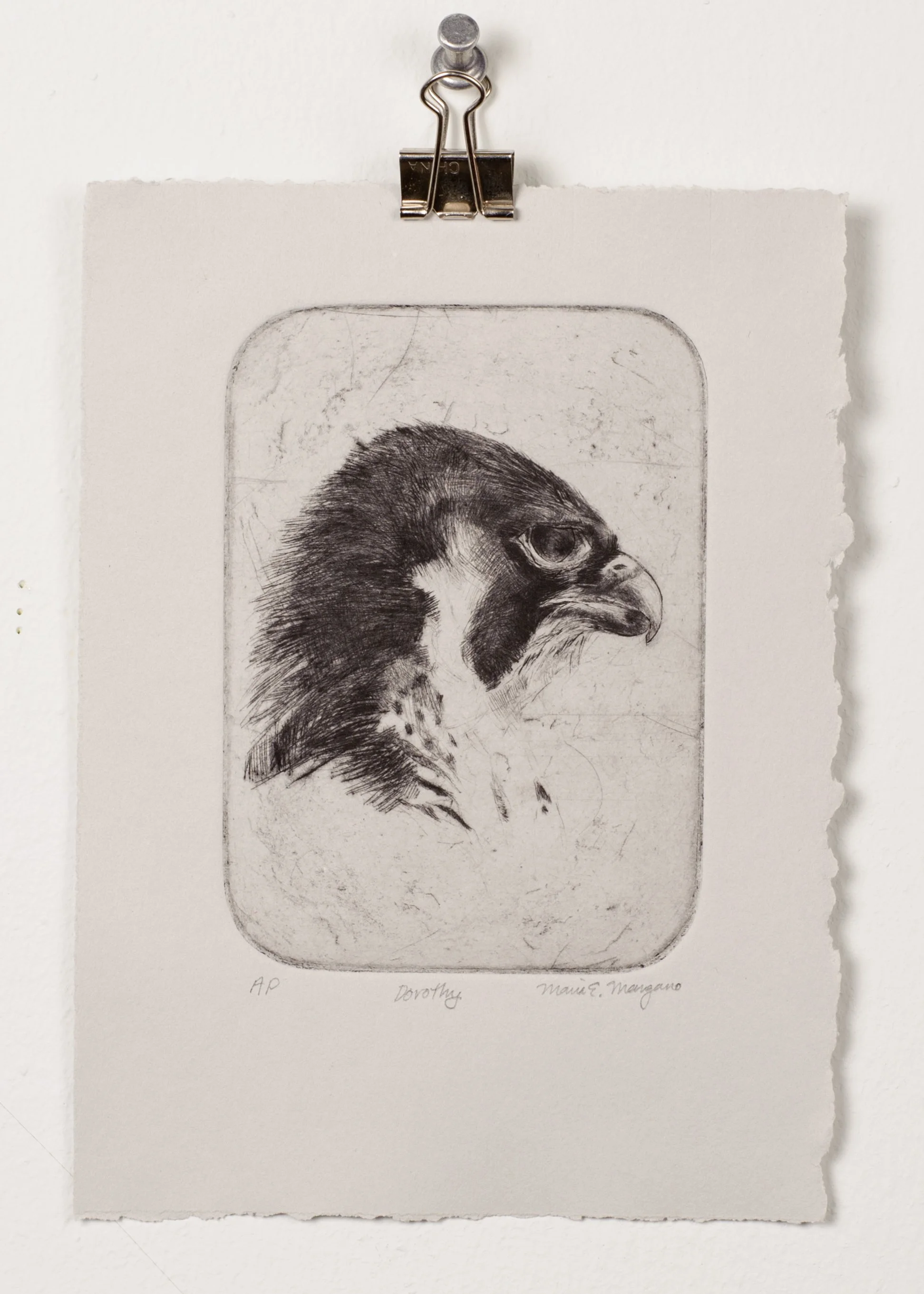  Dorothy  drypoint and engraving  2017 